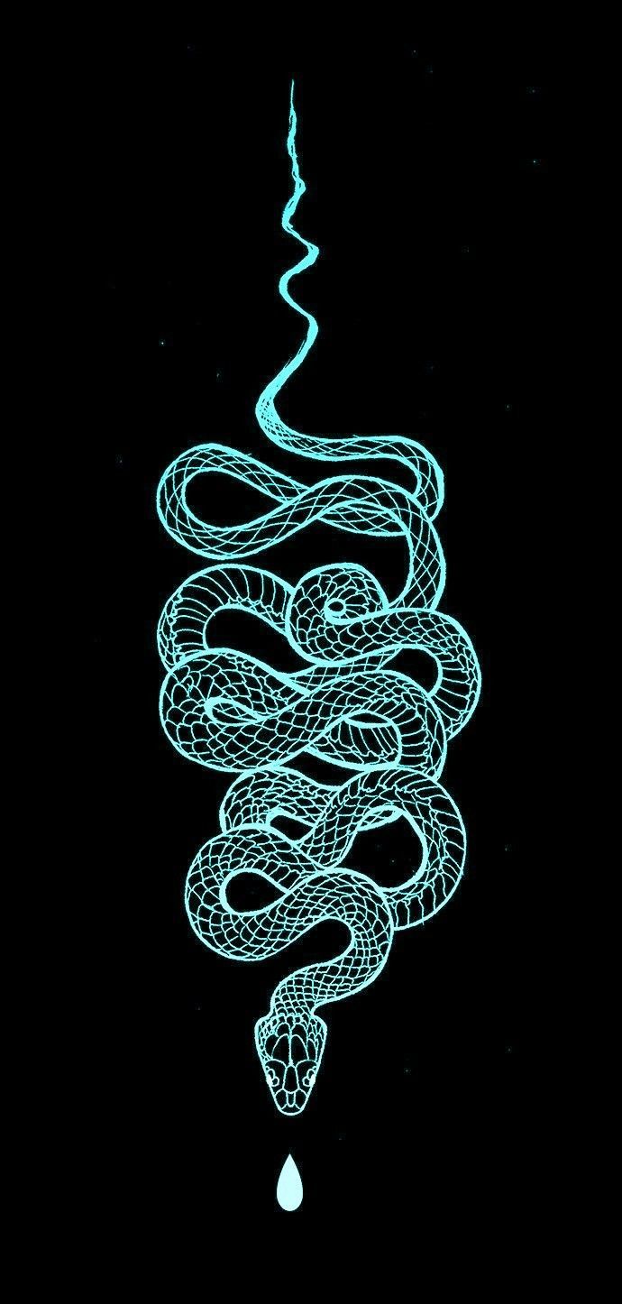 Snake Art iPhone Wallpapers Wallpaper Cave