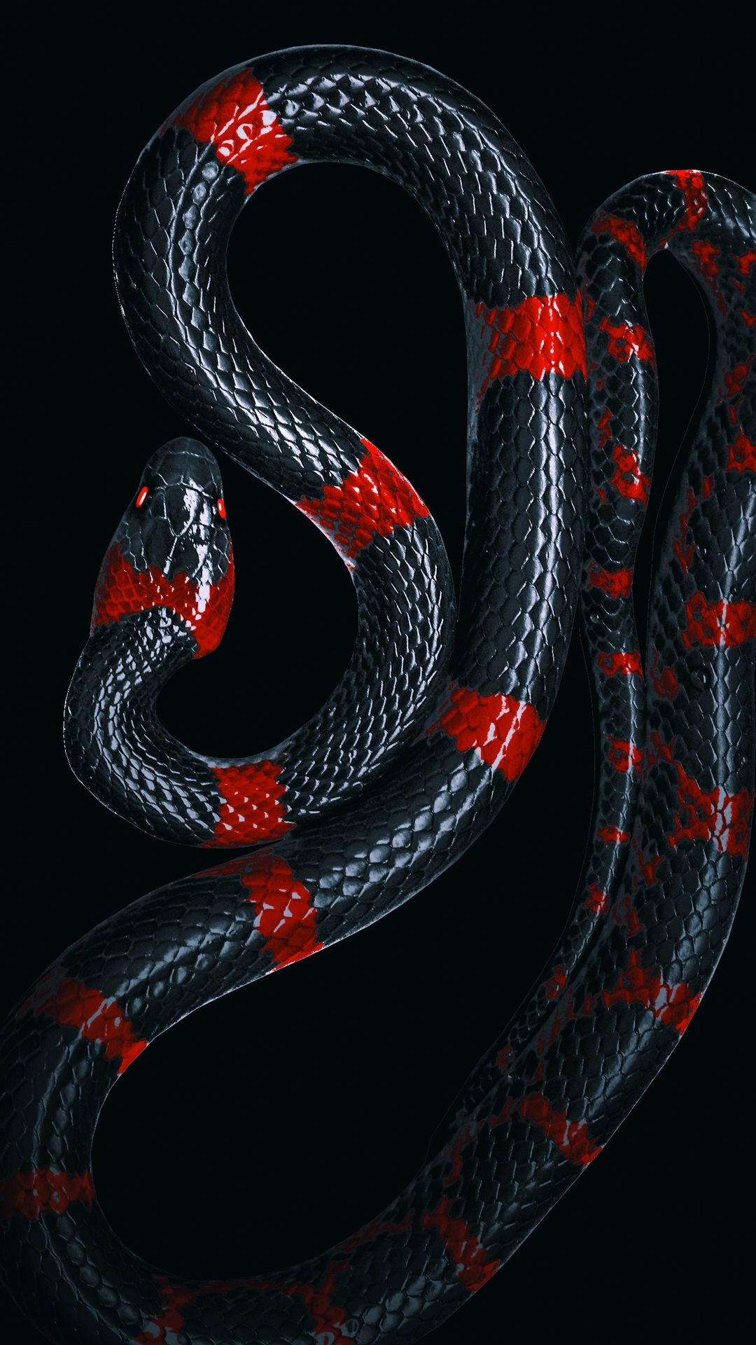 Snake Art iPhone Wallpapers Wallpaper Cave