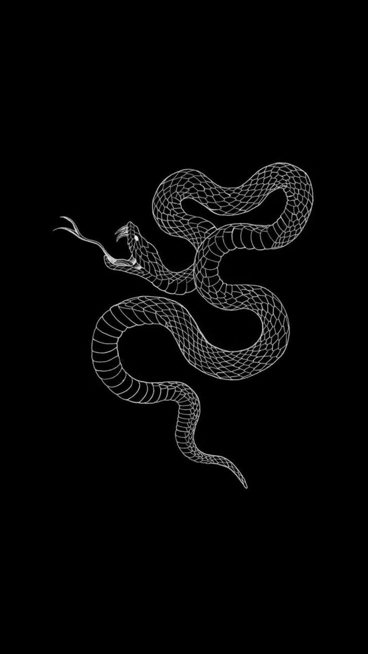 Snake Art iPhone Wallpapers Wallpaper Cave