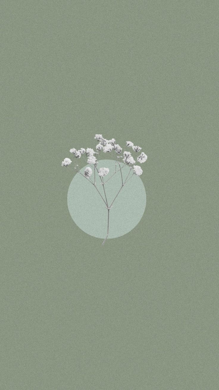 Sage Aesthetic Wallpapers Wallpaper Cave