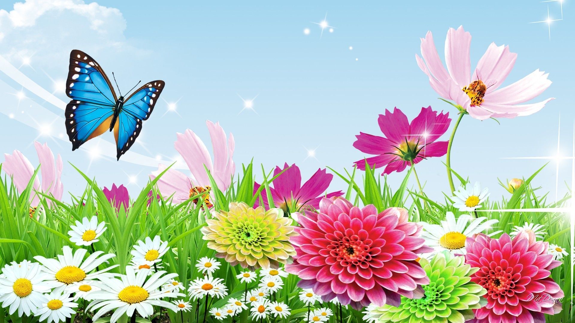 Butterfly Garden Wallpapers Wallpaper Cave