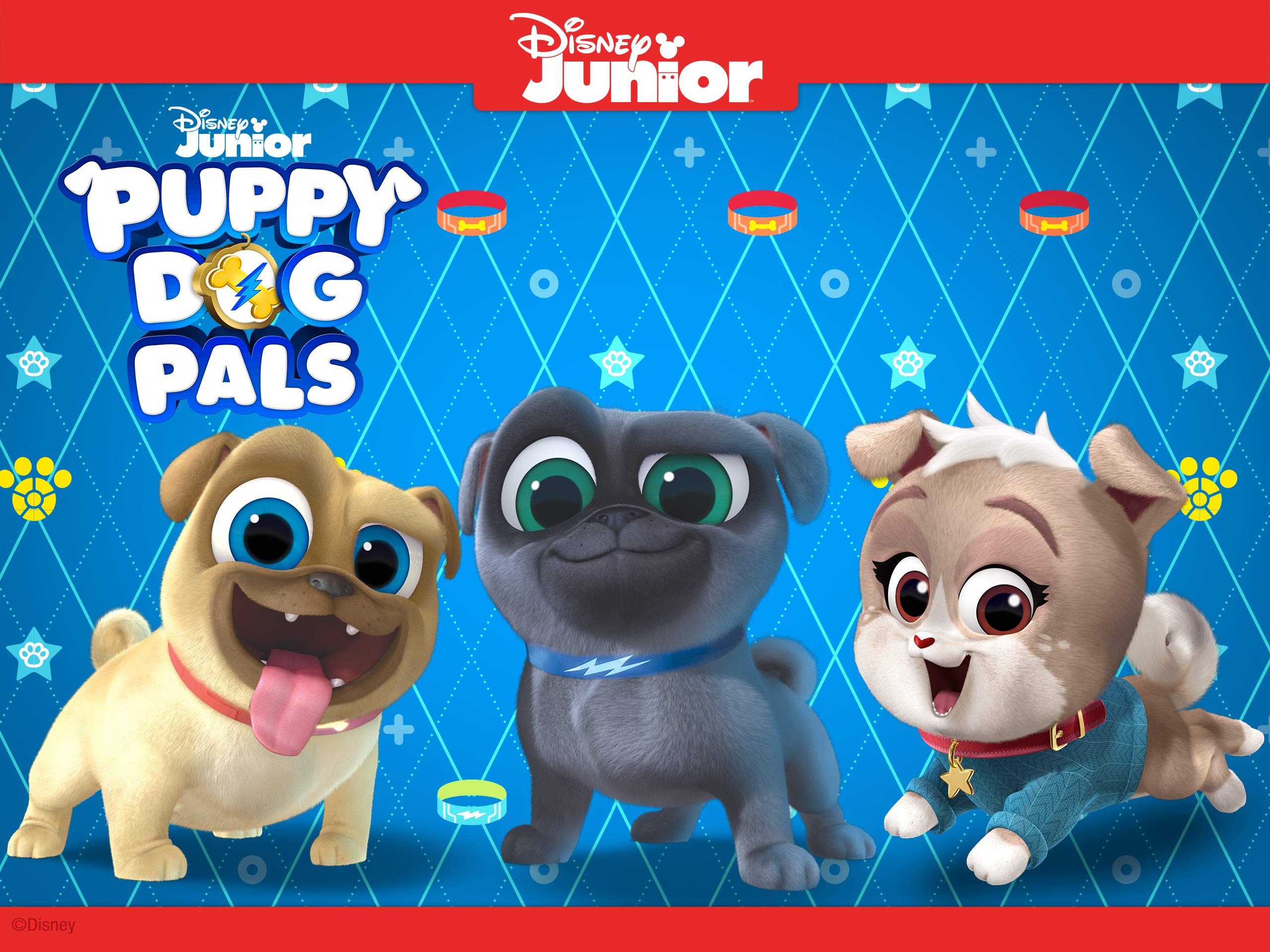 Puppy Dog Pals Bingo Wallpapers Wallpaper Cave