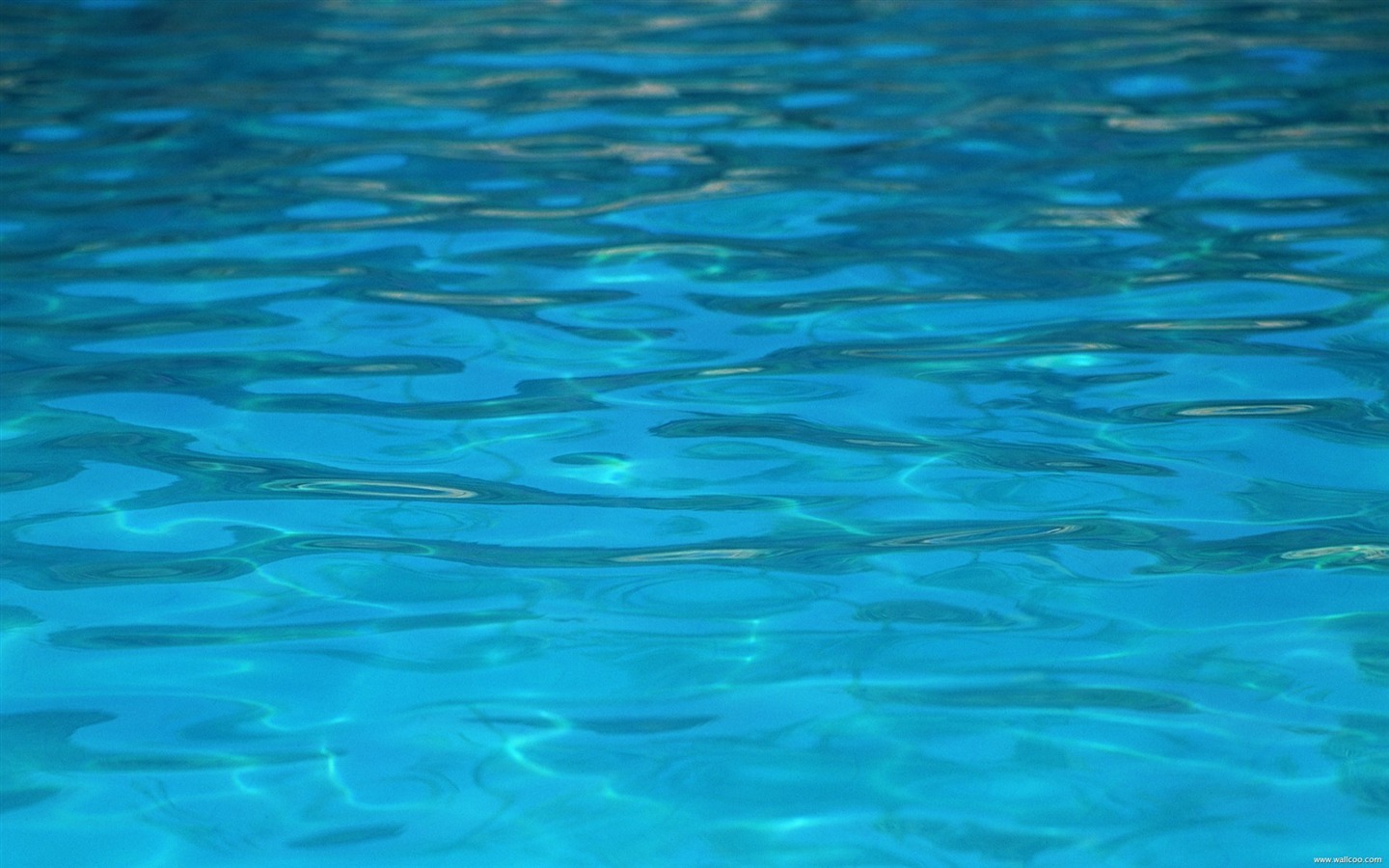 Pure Blue Wallpapers Wallpaper Cave