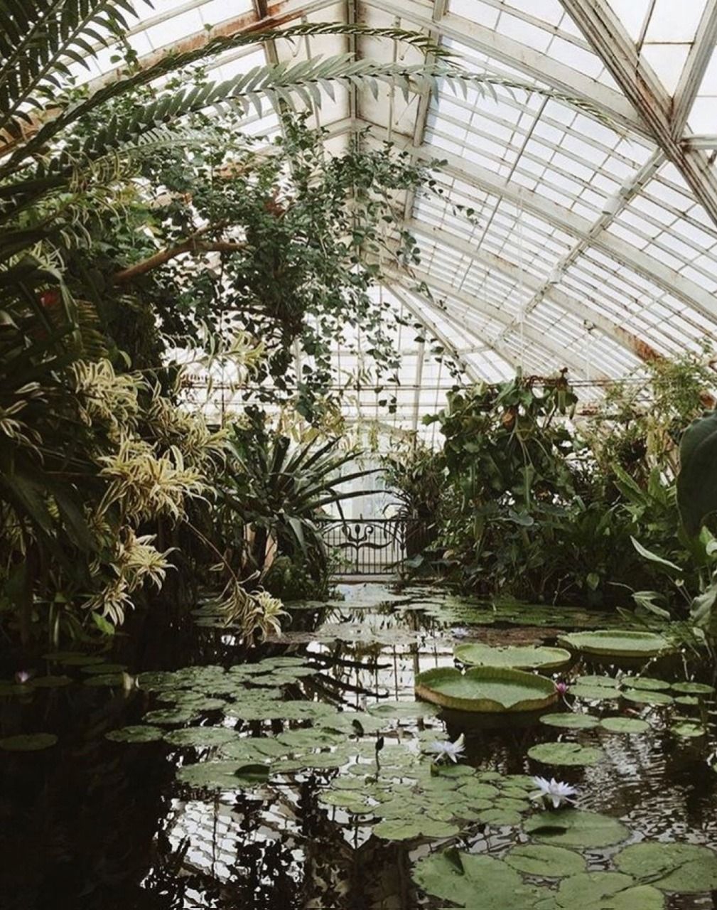 Dark Green Academia Aesthetic Laptop Backgrounds