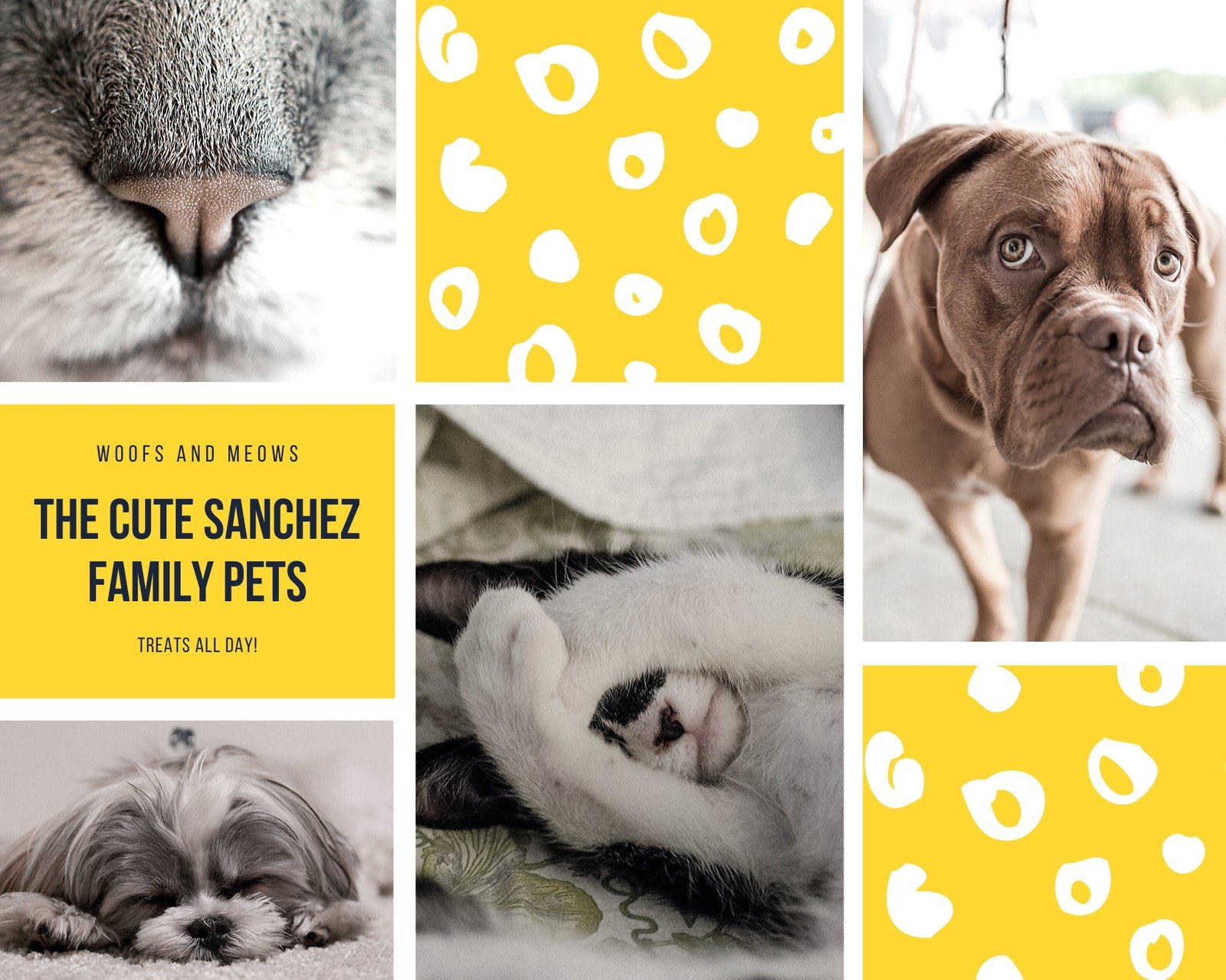 Dog Collages Wallpapers Wallpaper Cave