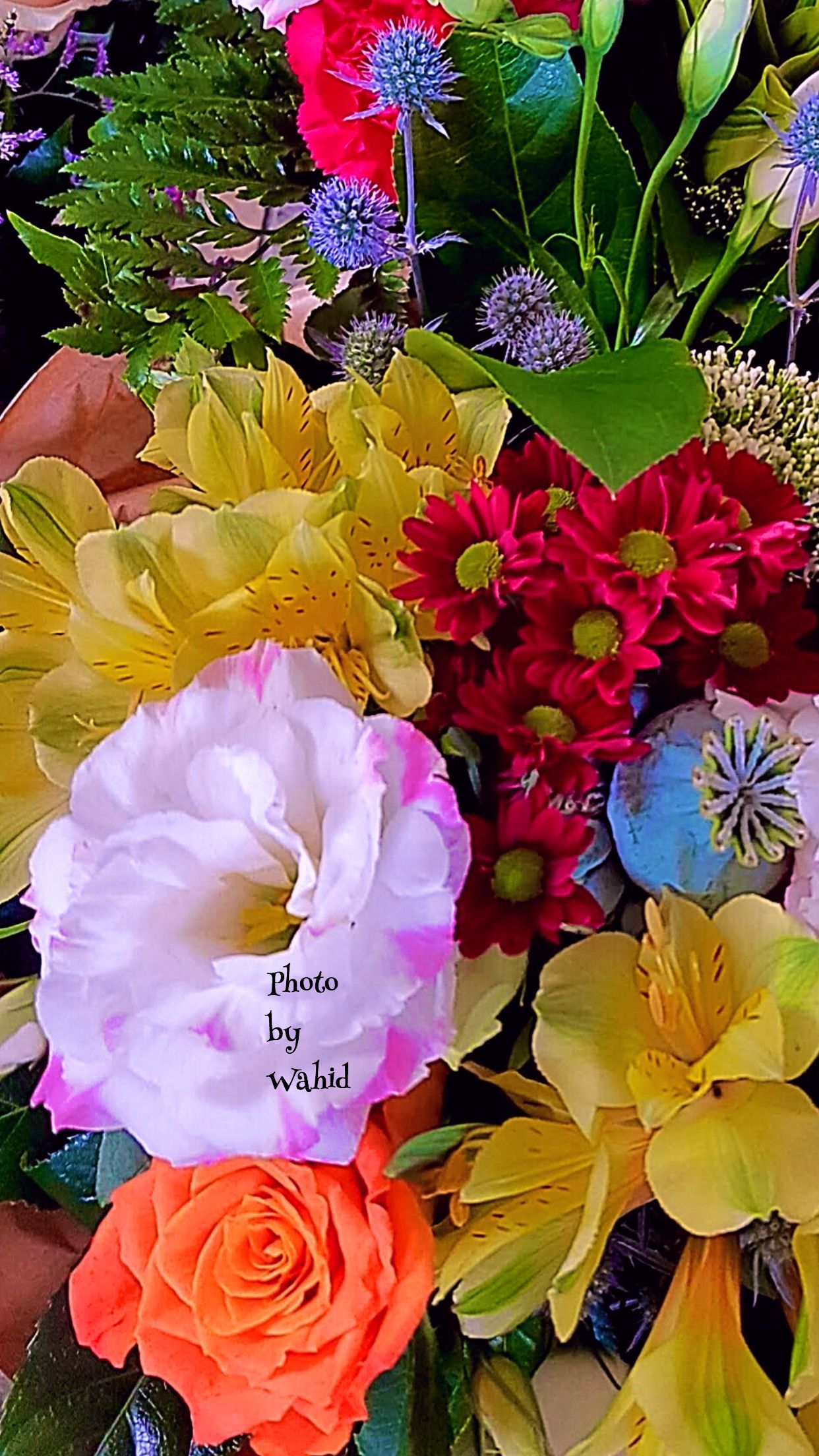 Mixed Flowers Wallpapers Wallpaper Cave