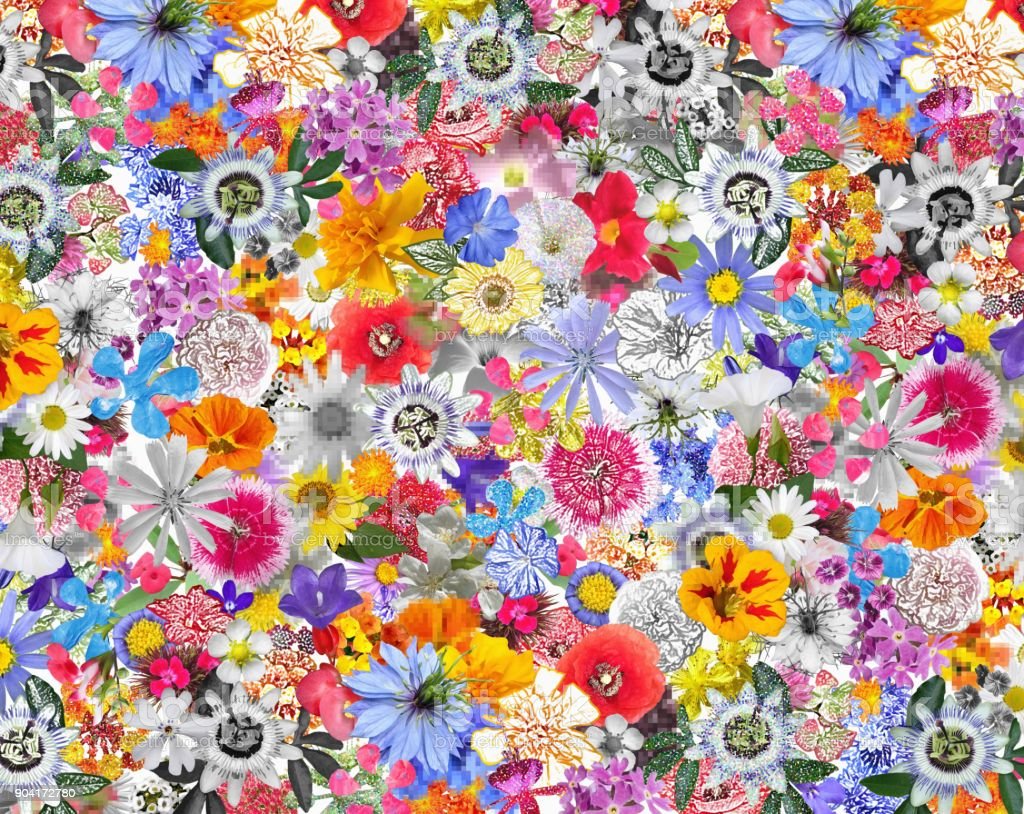 Mixed Flowers Wallpapers Wallpaper Cave
