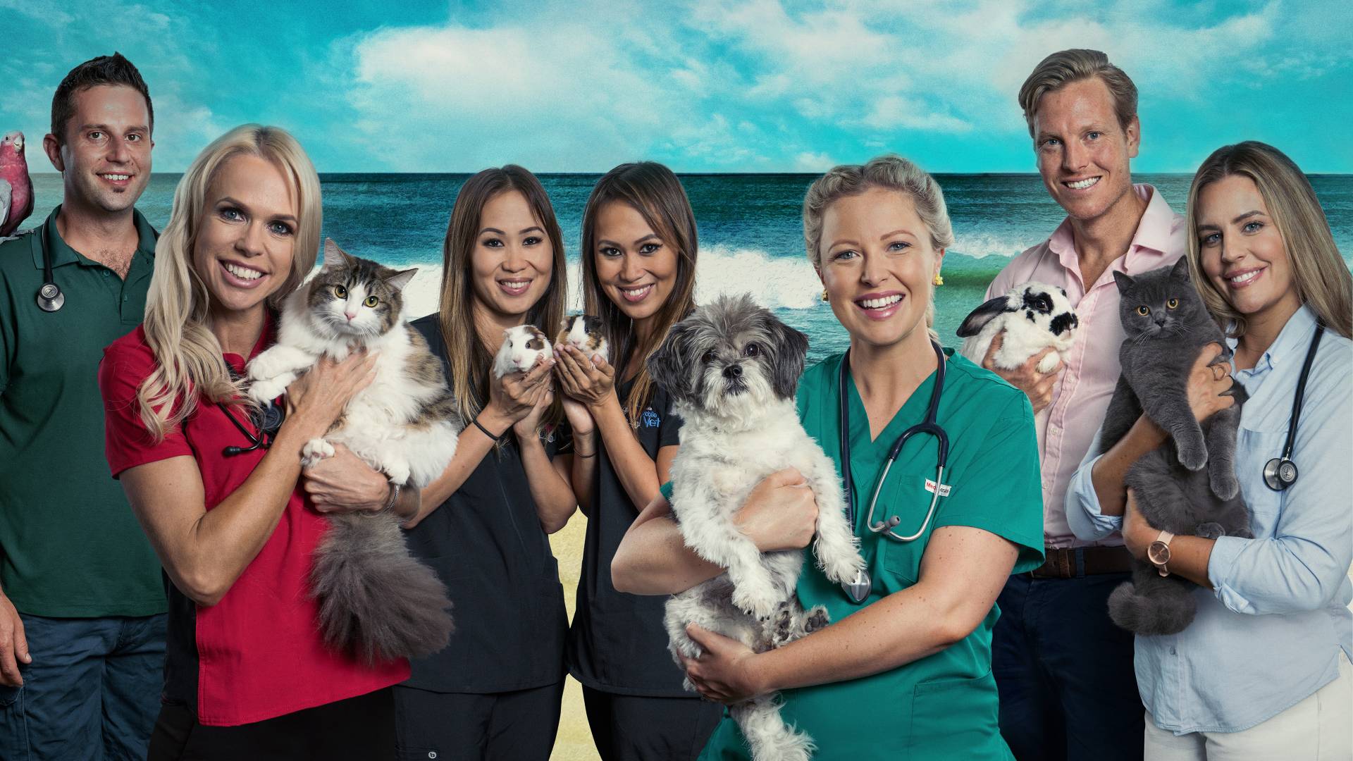 Bondi Vet Wallpapers Wallpaper Cave