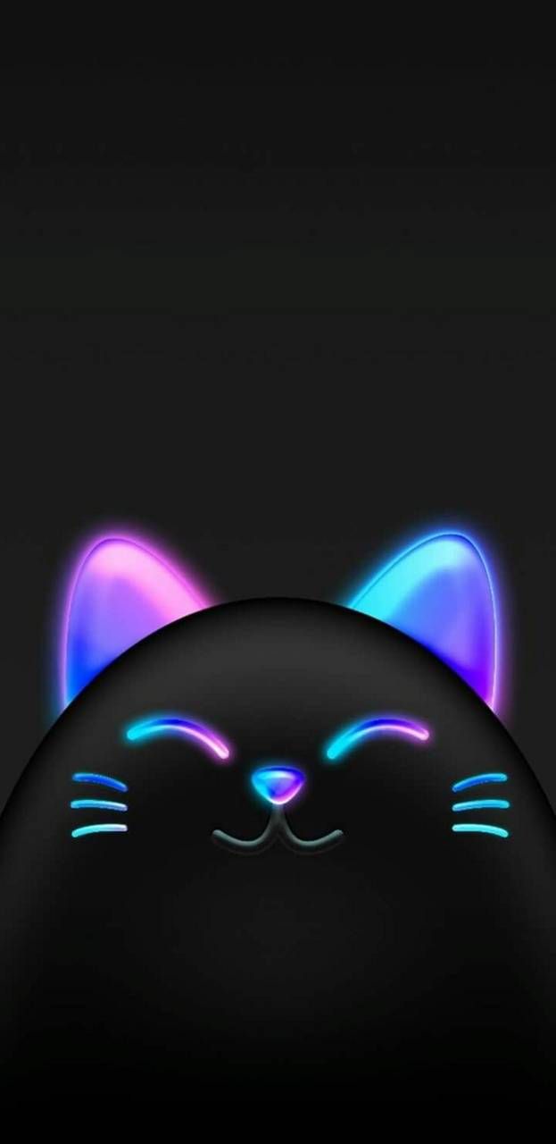 Cat Neon Wallpapers Wallpaper Cave