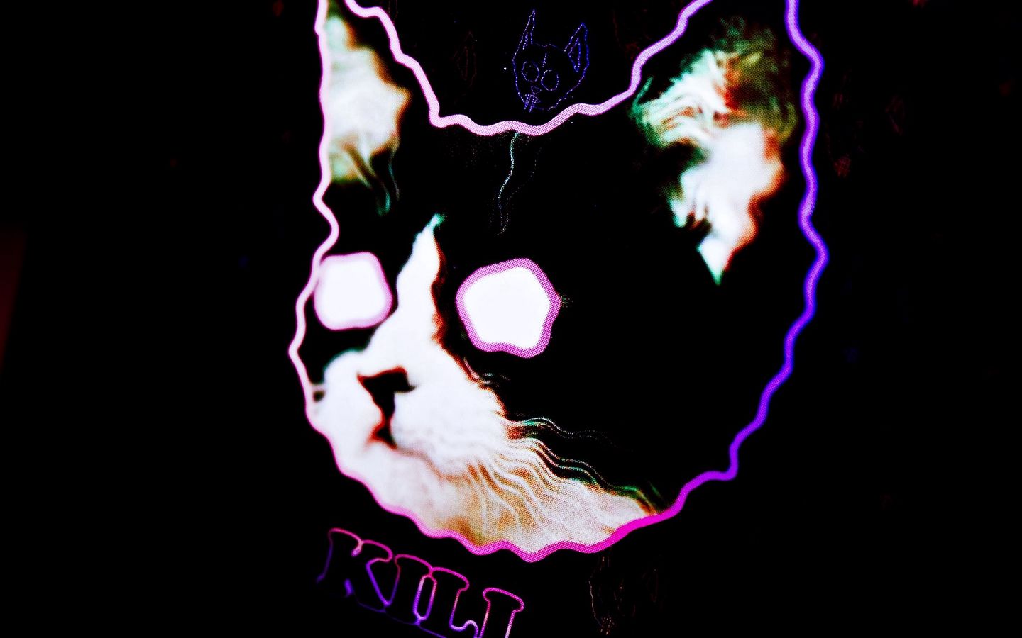 Cat Neon Wallpapers Wallpaper Cave