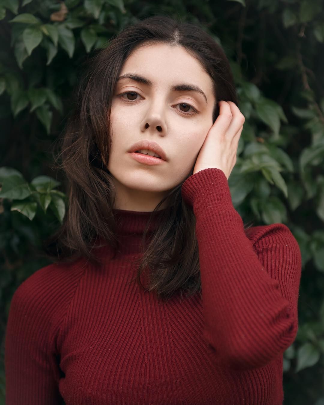 Aya Wolf Wallpapers - Wallpaper Cave