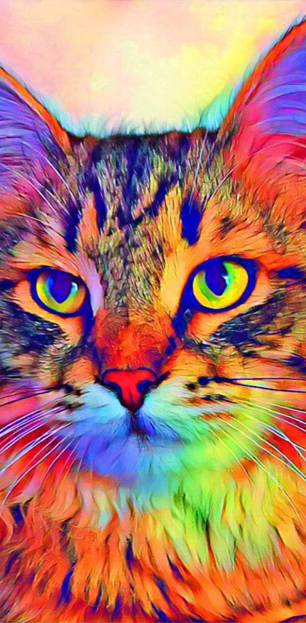 Colorful Cat Wallpapers Wallpaper Cave