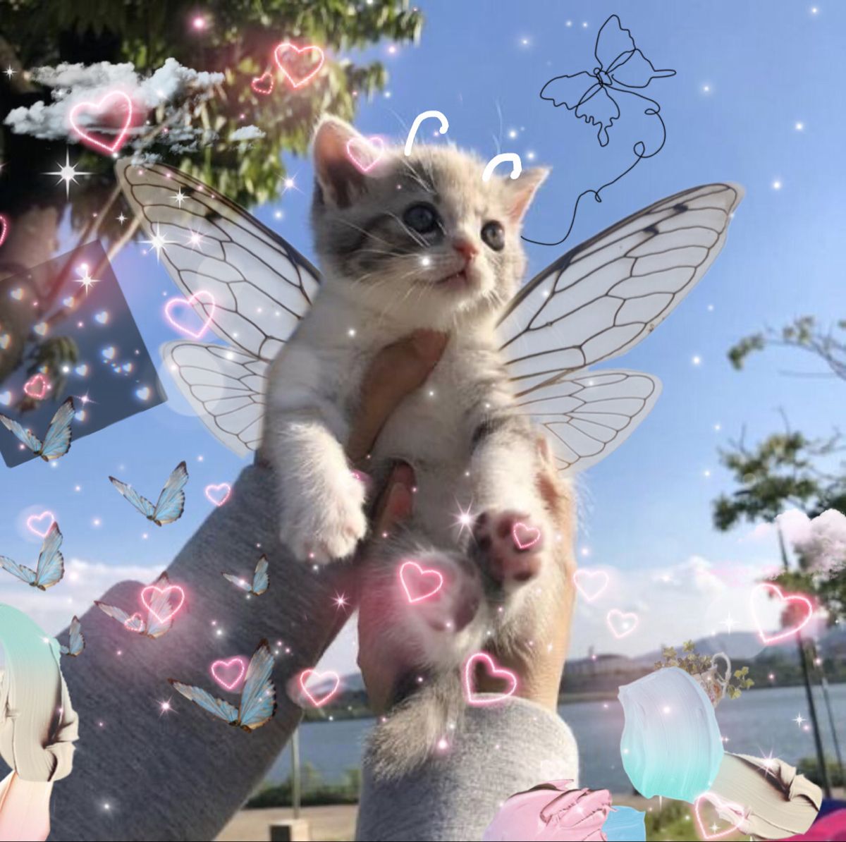 Fairy Cat Wallpapers Wallpaper Cave