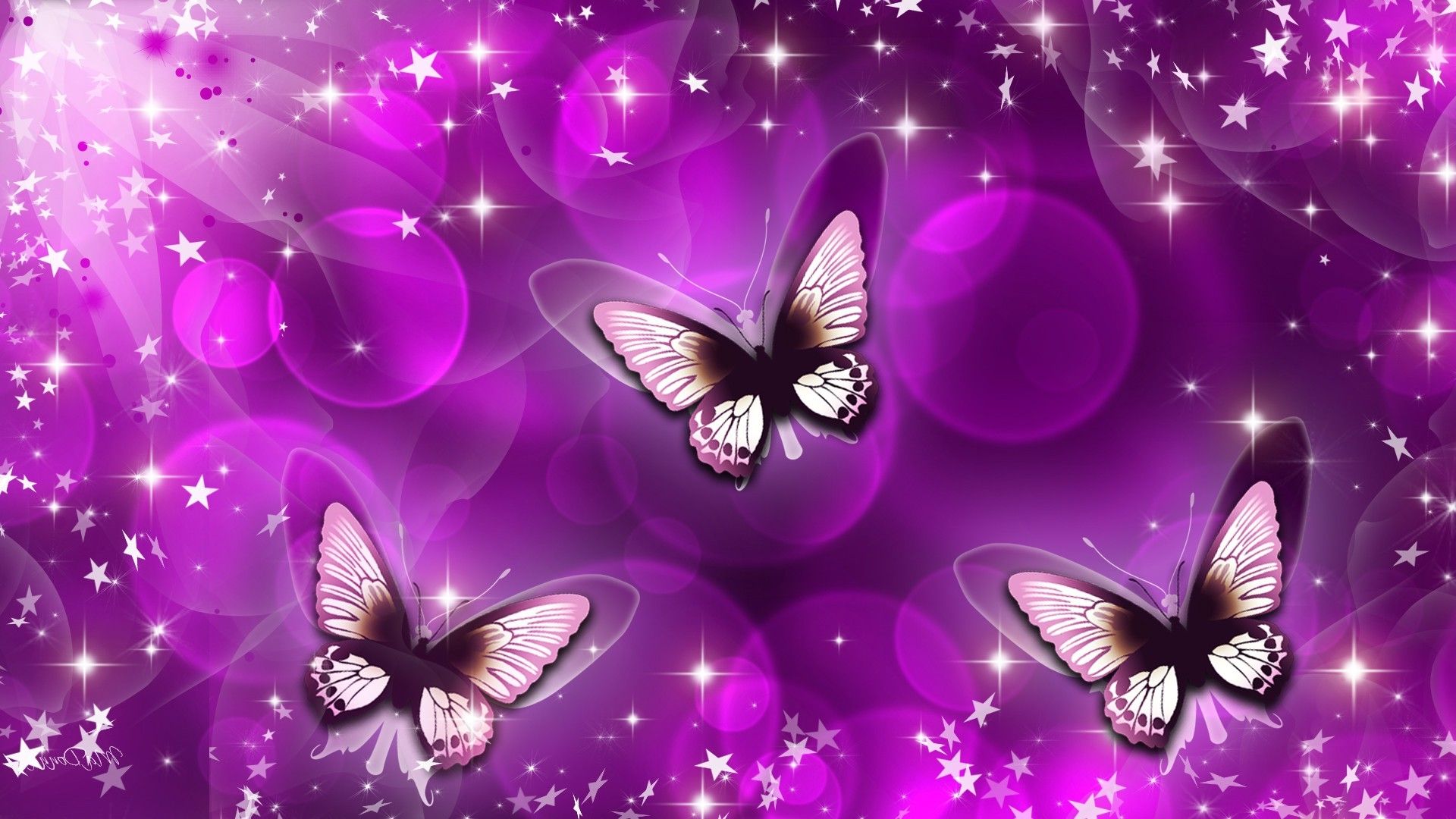 Cartoon Butterfly Wallpapers Wallpaper Cave