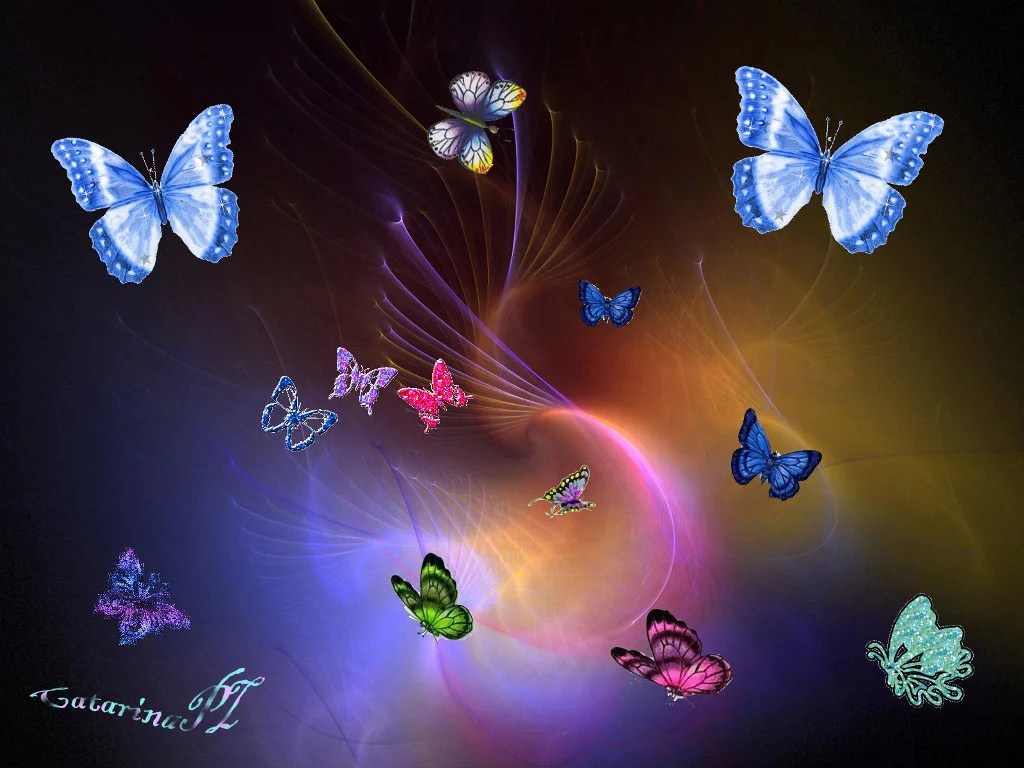 Cartoon Butterfly Wallpapers Wallpaper Cave