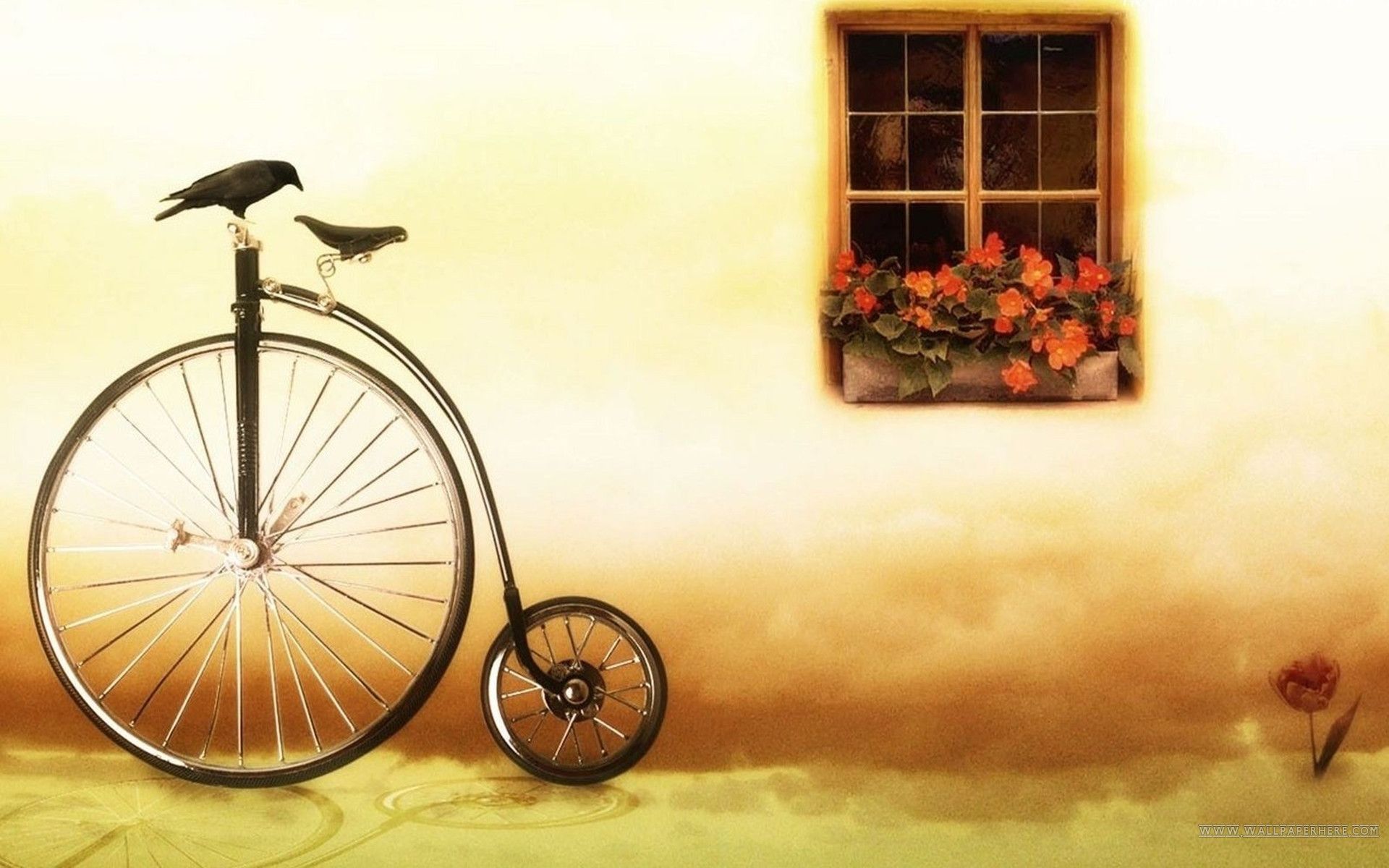 Vintage Bicycle Wallpapers Wallpaper Cave
