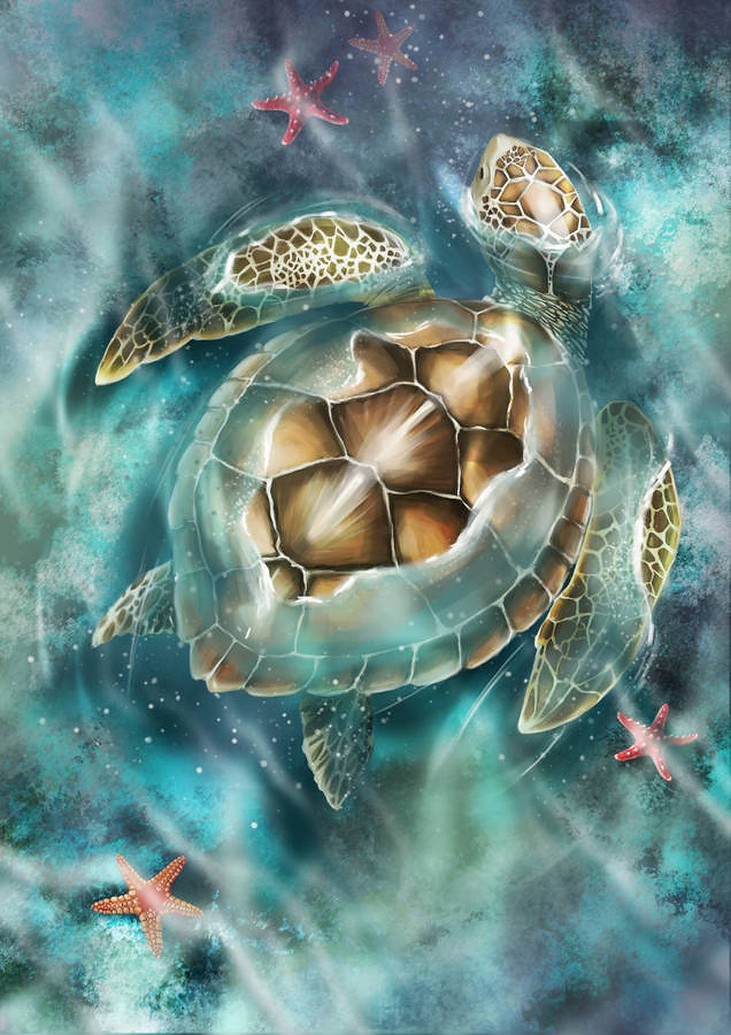 Turtle Art Wallpapers Wallpaper Cave