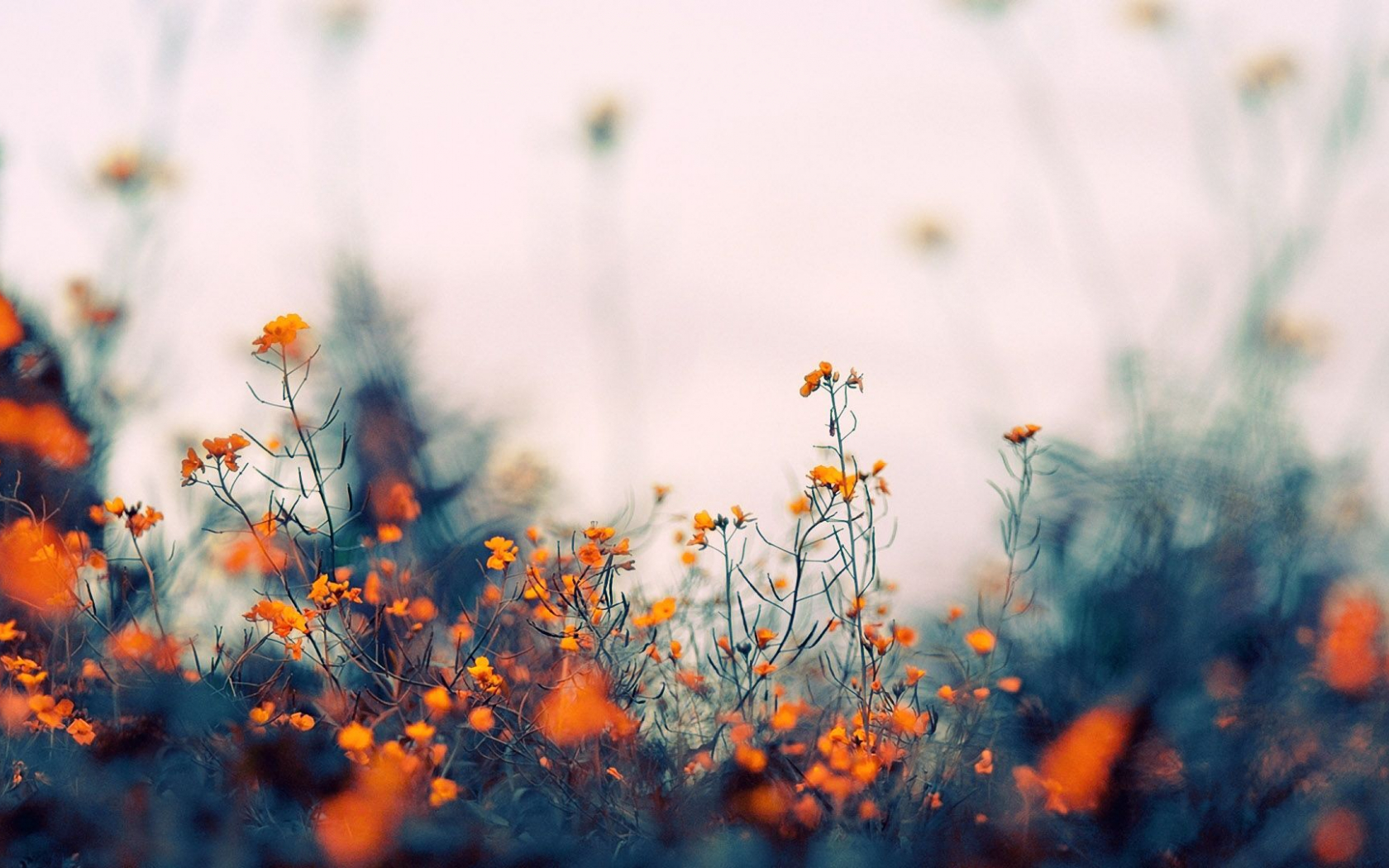 Sideways Aesthetic Wallpapers Wallpaper Cave