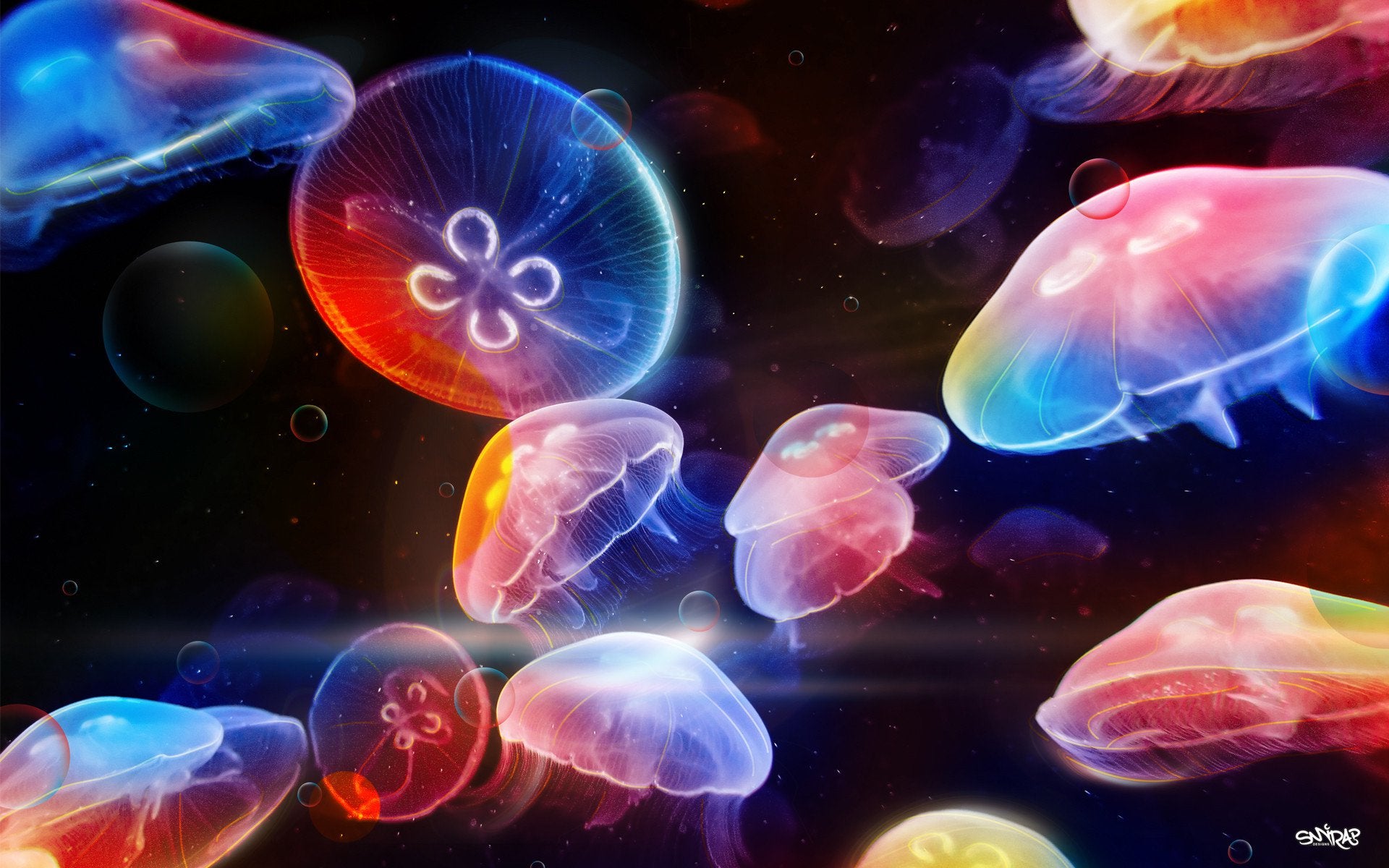 Moon Jellyfish Wallpapers Wallpaper Cave
