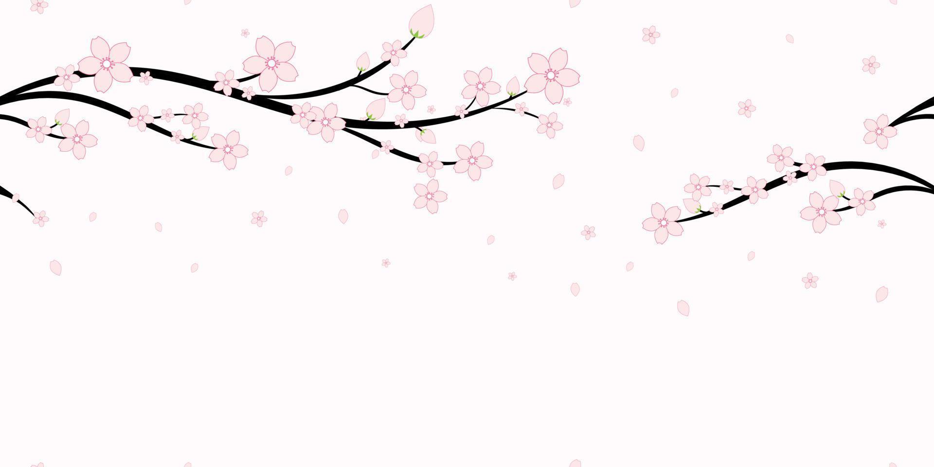 White Sakura Wallpapers Wallpaper Cave