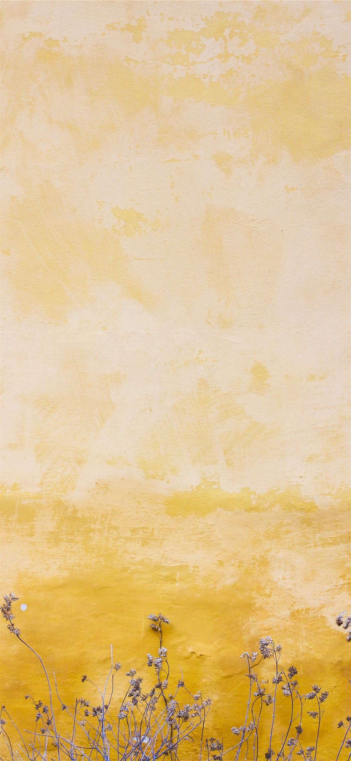 iPhone 12 Yellow Wallpapers Wallpaper Cave