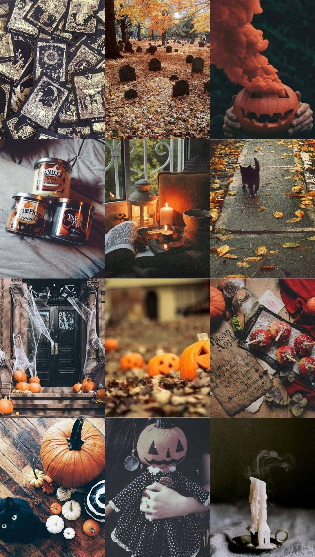 Halloween Moodboards Wallpapers Wallpaper Cave