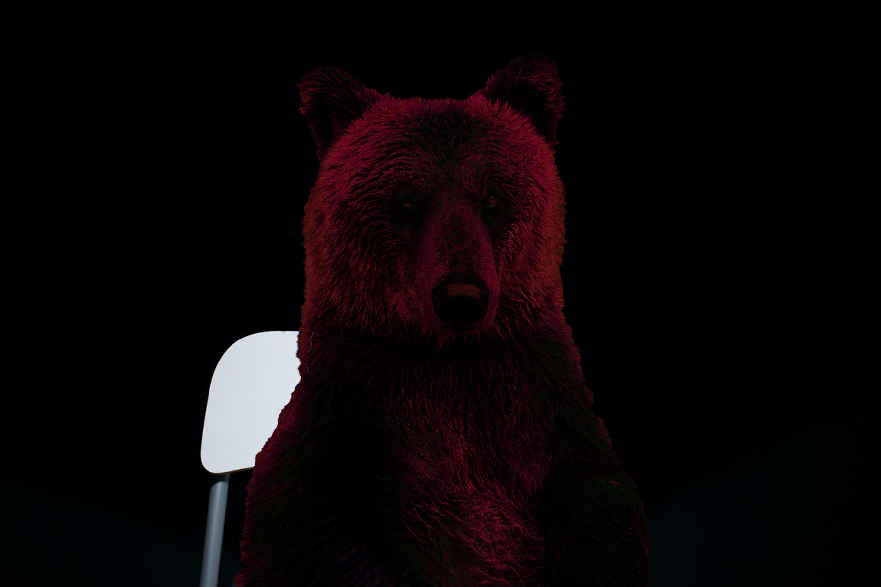Red Bear Wallpapers Wallpaper Cave