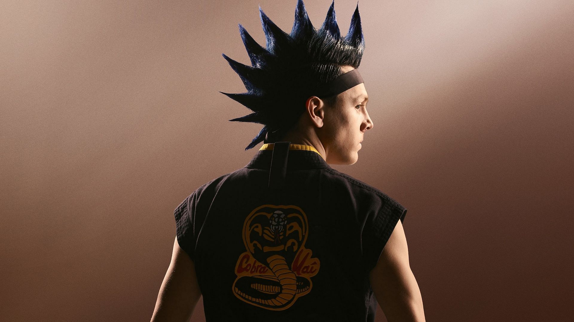 Cobra Kai Hawk Desktop Wallpapers Wallpaper Cave