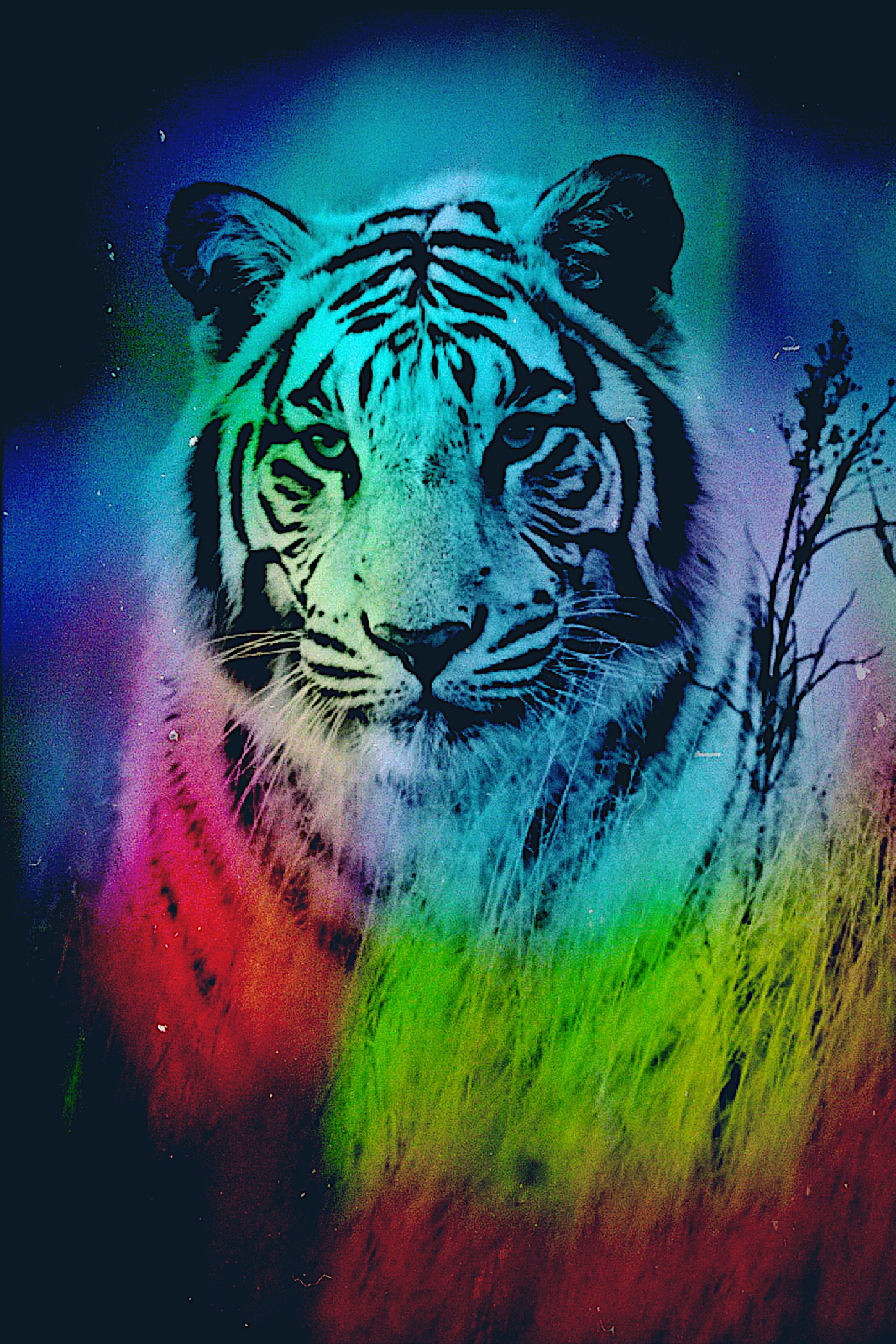 Rainbow Tigers Wallpapers Wallpaper Cave