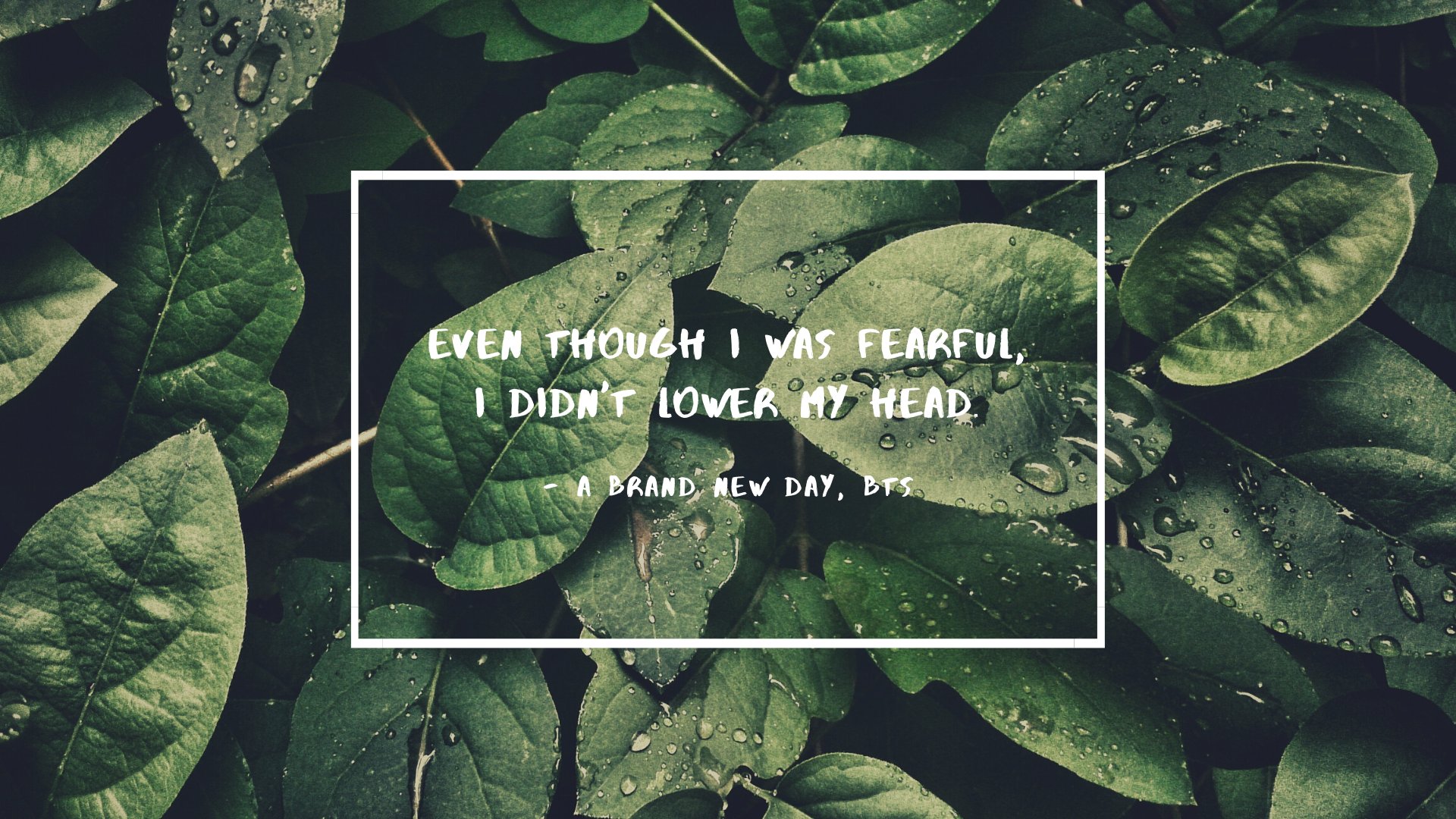 BTS Lyrics Laptop Wallpapers Wallpaper Cave