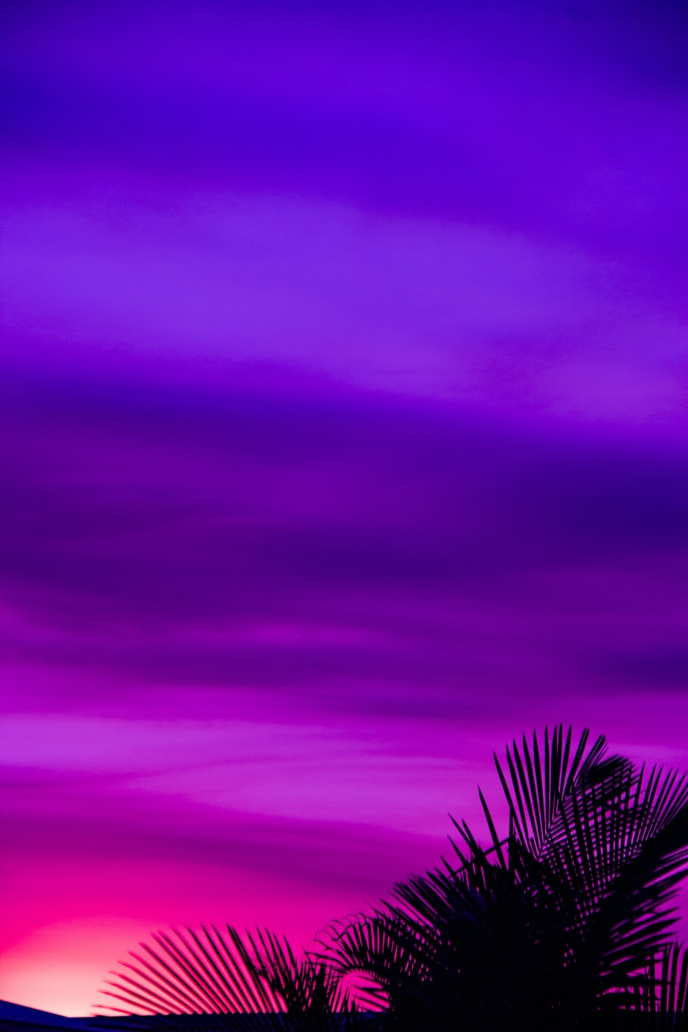 Android Purple Black Wallpapers Wallpaper Cave
