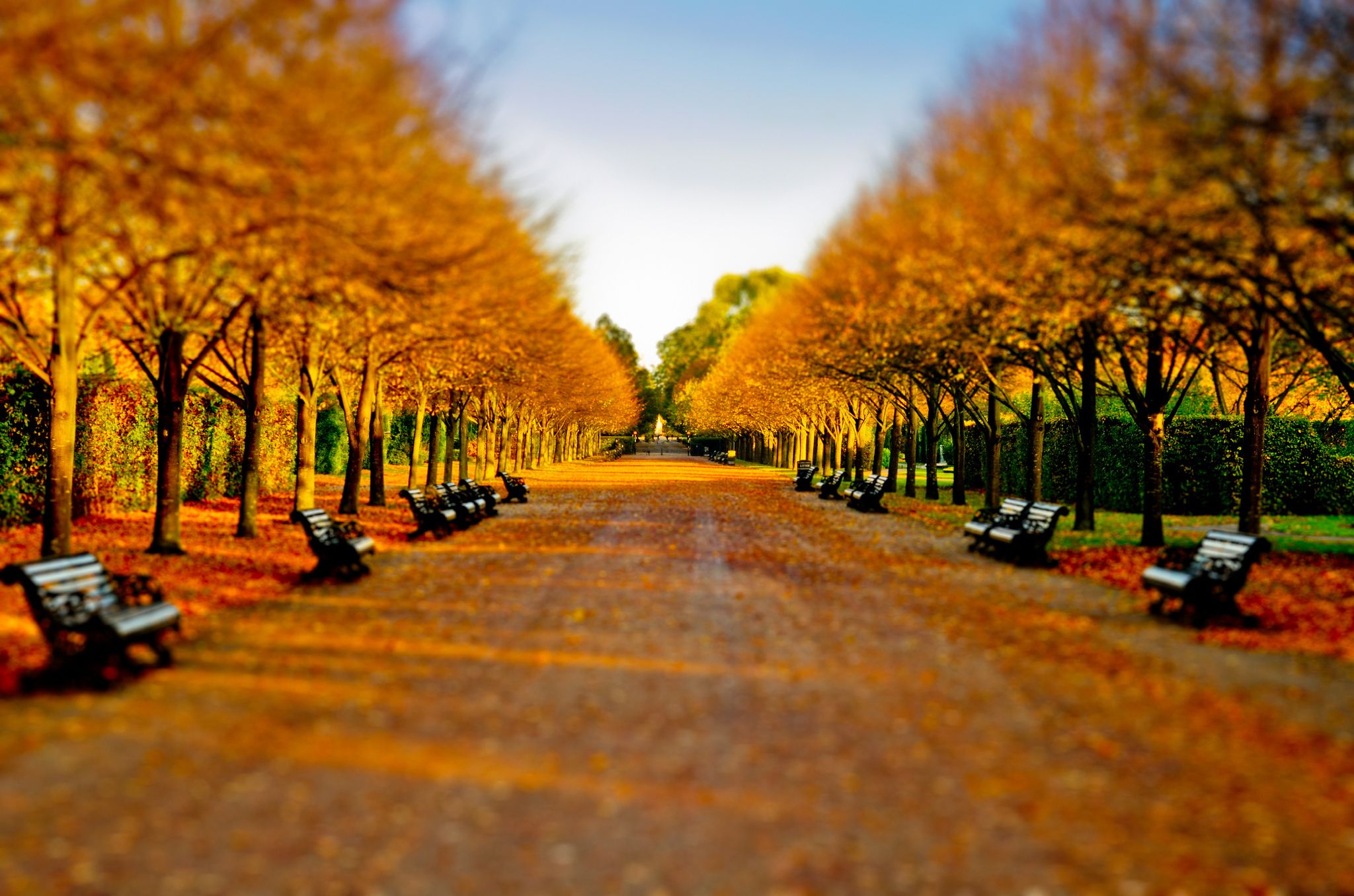 Autumn Hyde Park Wallpapers Wallpaper Cave