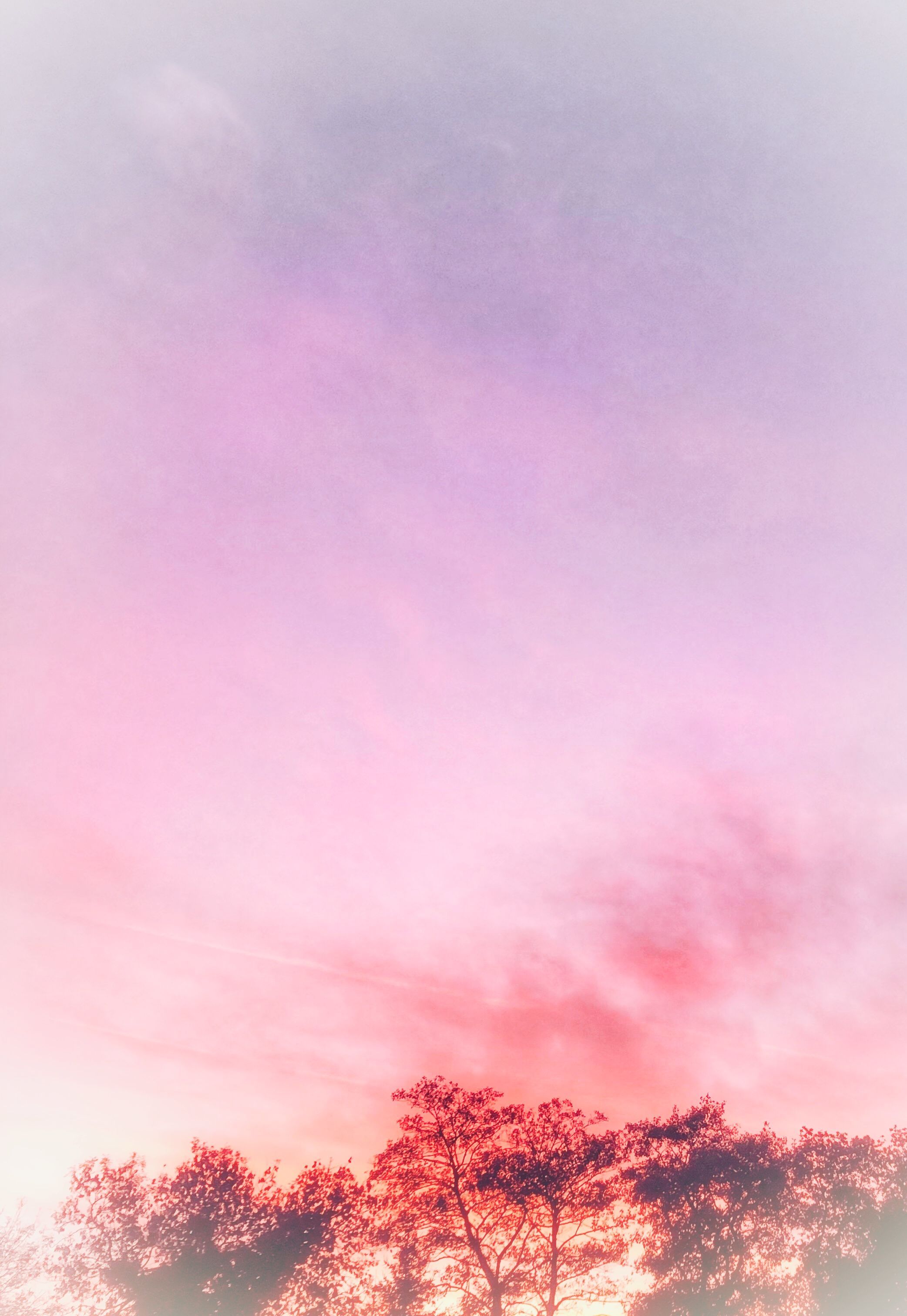 Pink Sunrise Wallpapers Wallpaper Cave