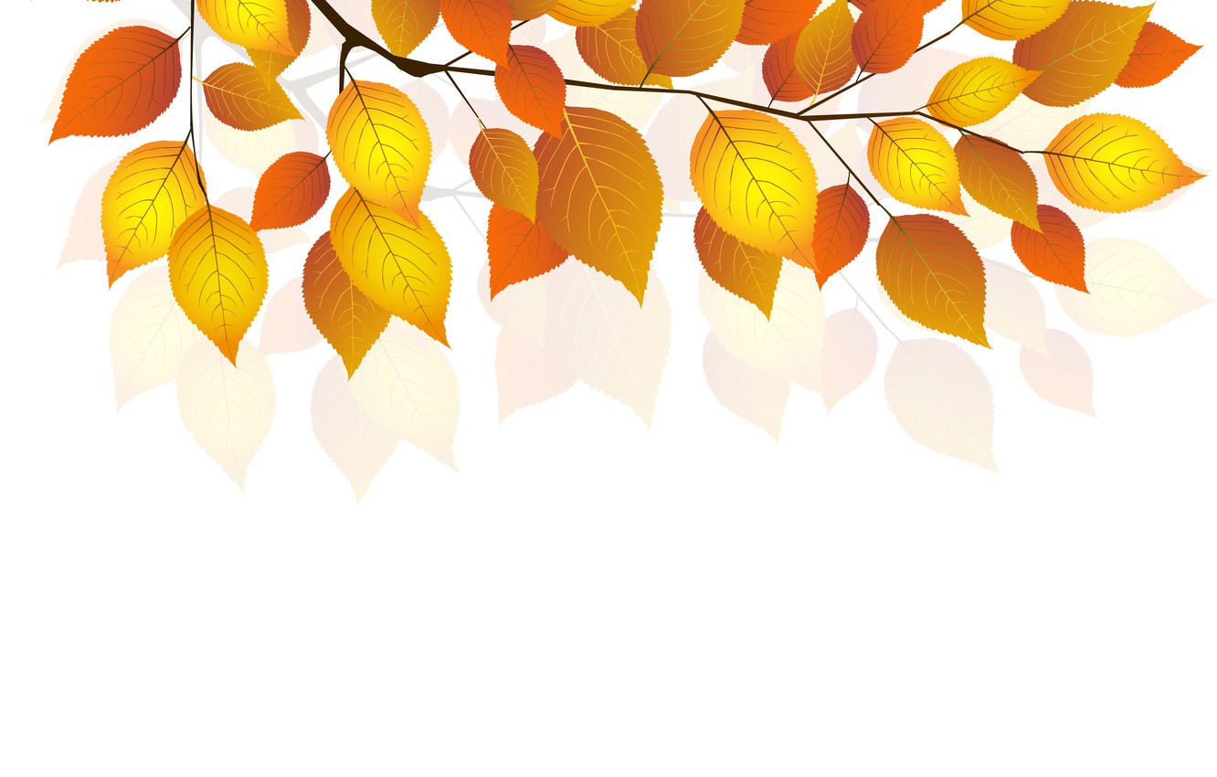 White Autumn Wallpapers Wallpaper Cave