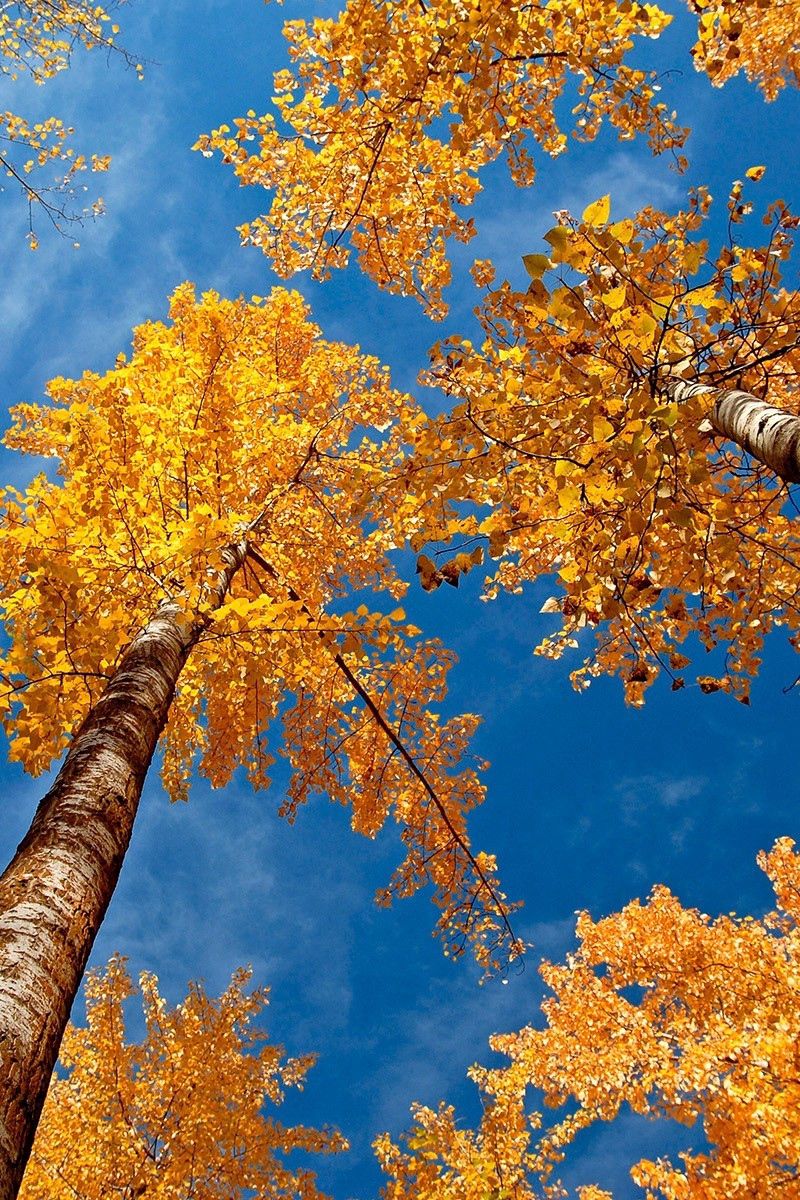 Autumn Sky Wallpapers Wallpaper Cave