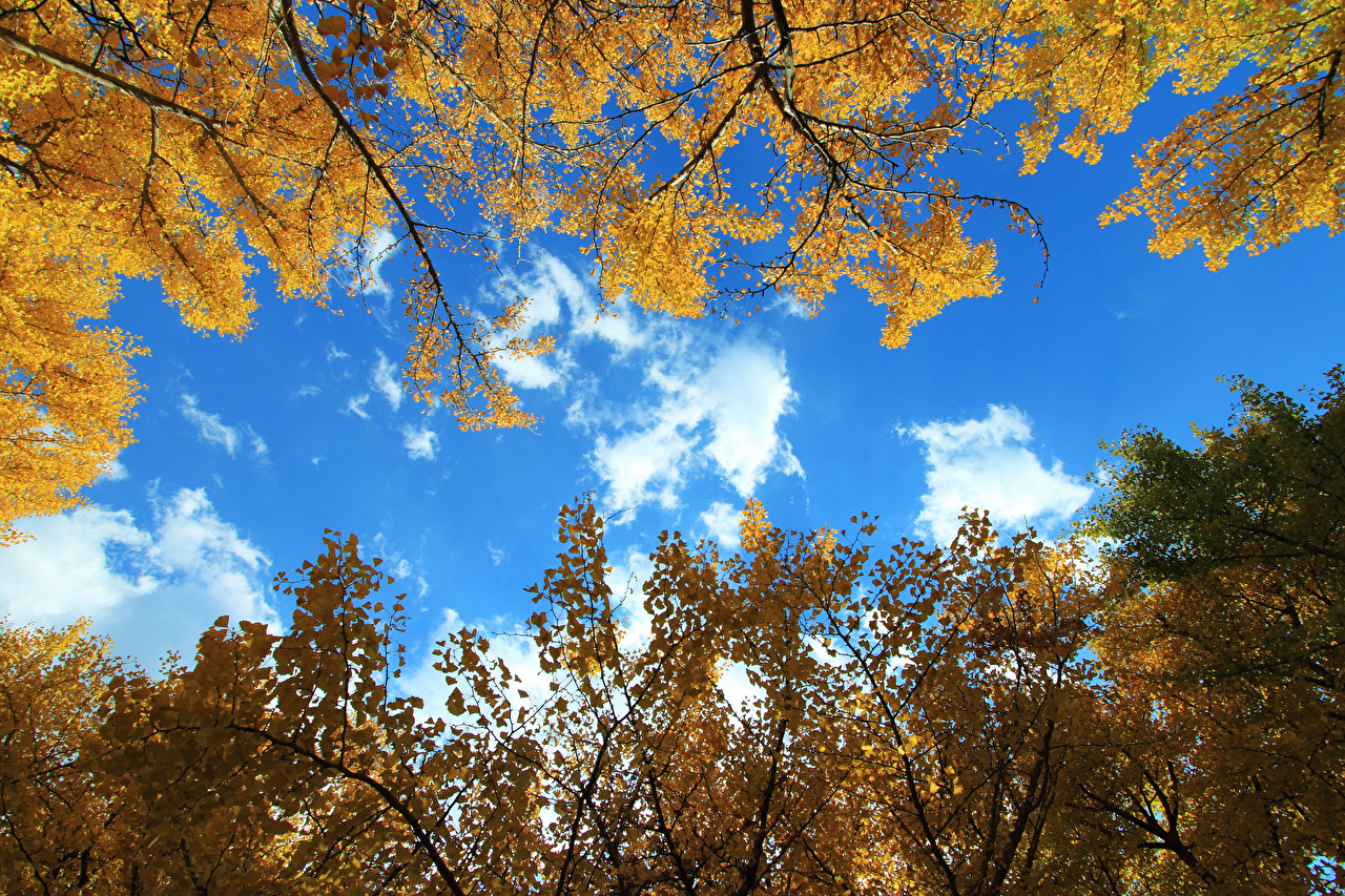 Autumn Sky Wallpapers Wallpaper Cave