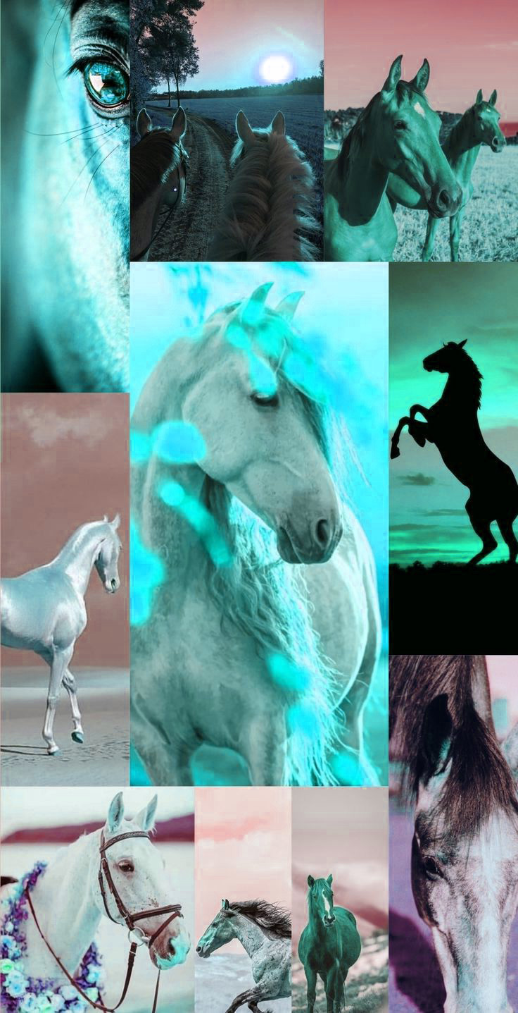 Horse Collage Wallpapers Wallpaper Cave