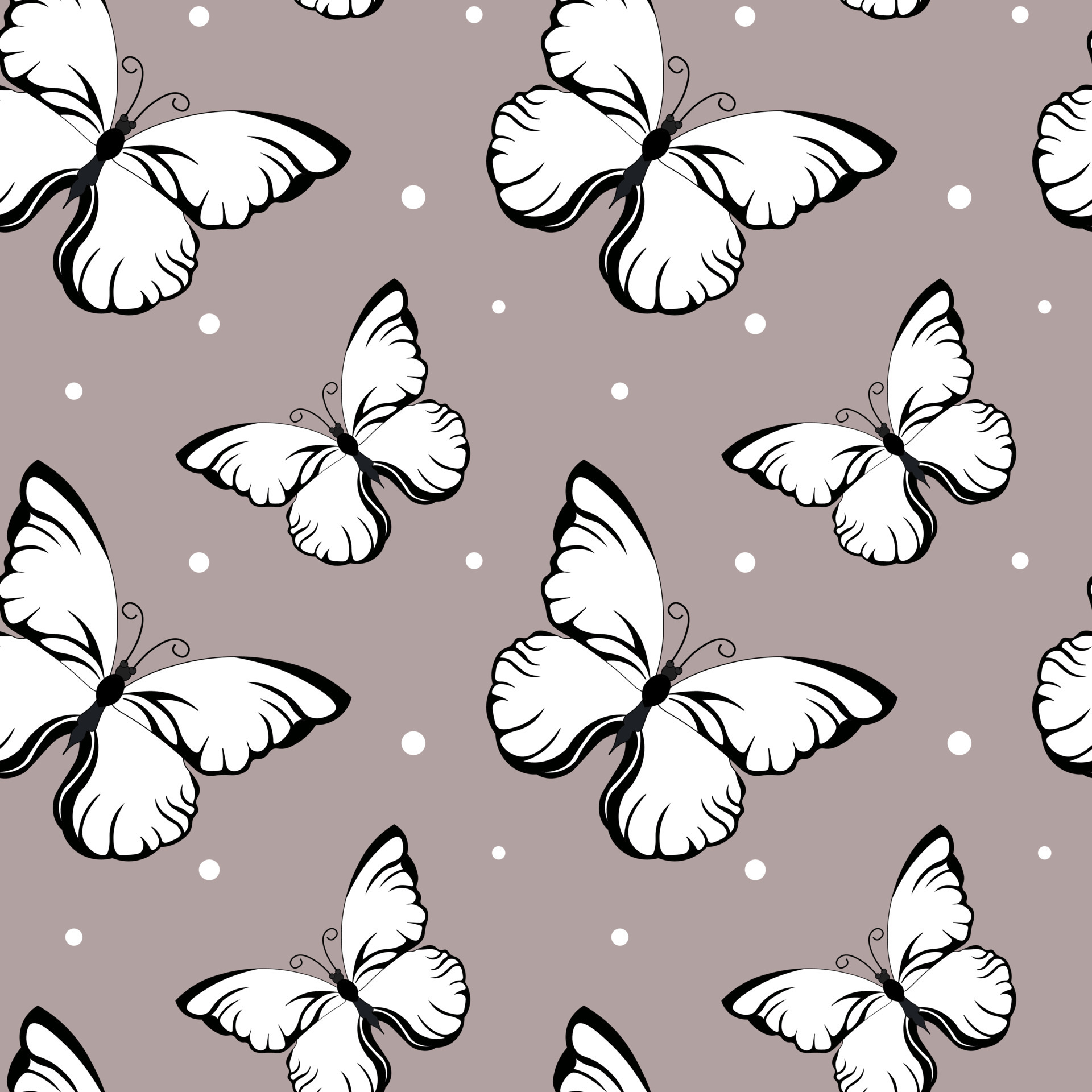 Black And White Butterfly Wallpapers Wallpaper Cave