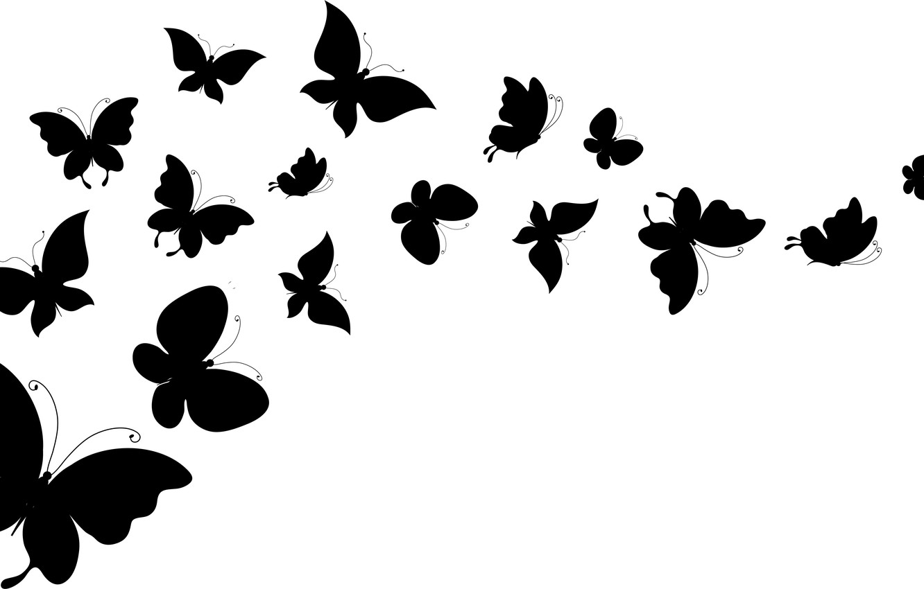 Black And White Butterfly Wallpapers Wallpaper Cave