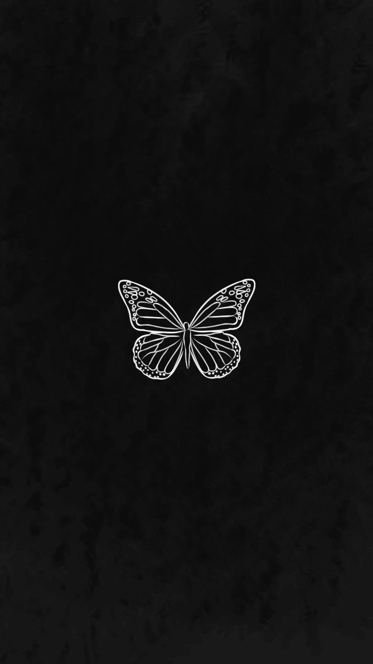 Black And White Butterfly Wallpapers Wallpaper Cave