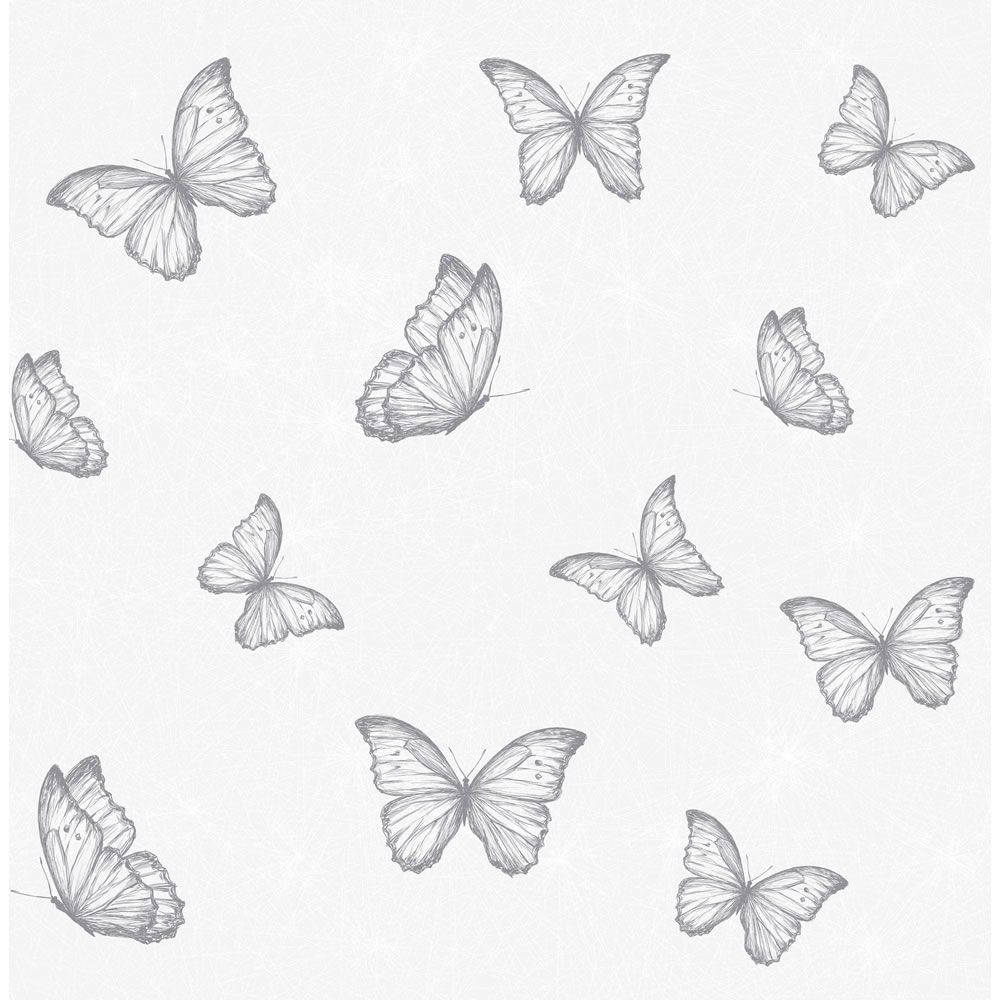 Black And White Butterfly Wallpapers Wallpaper Cave