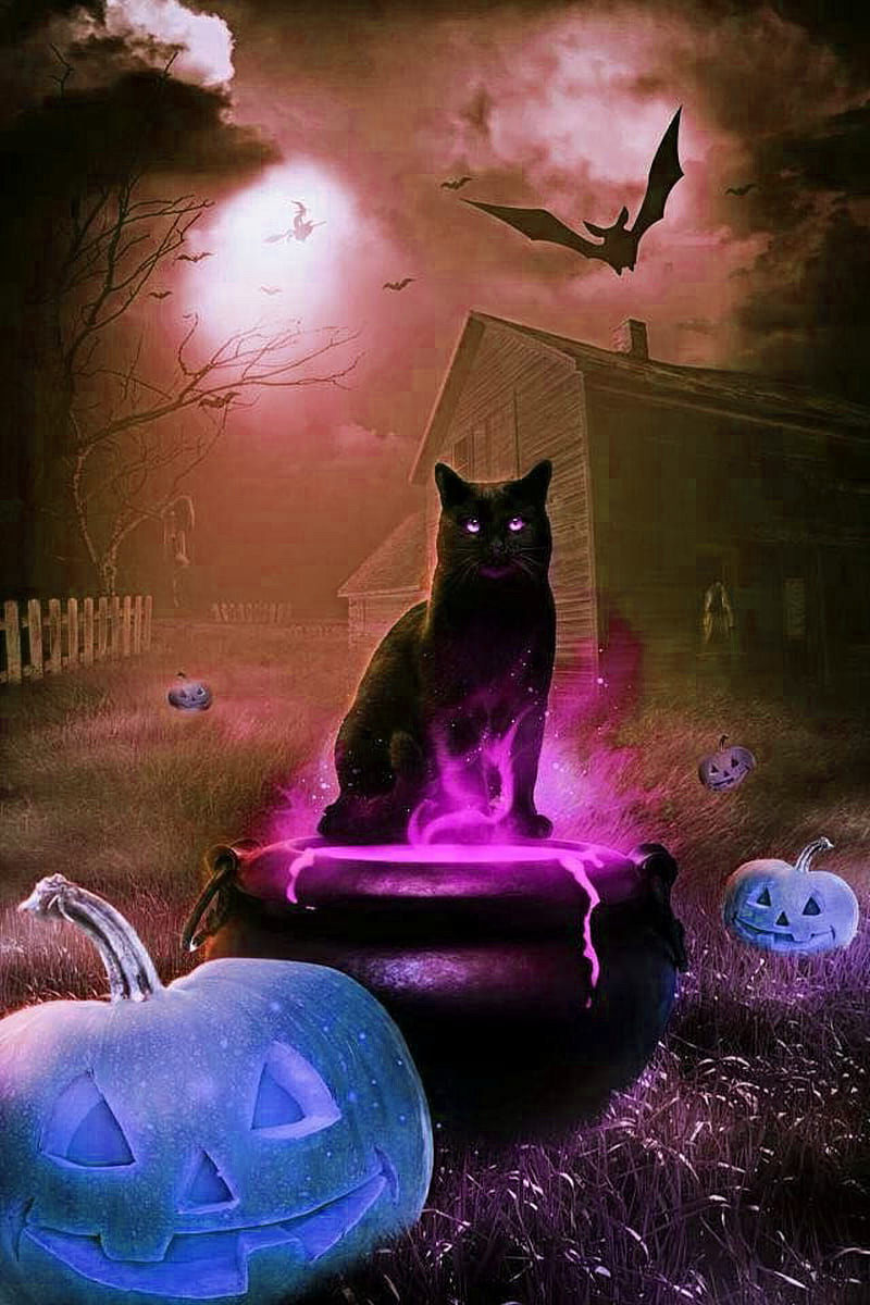 Cute Halloween Cat Wallpapers Wallpaper Cave