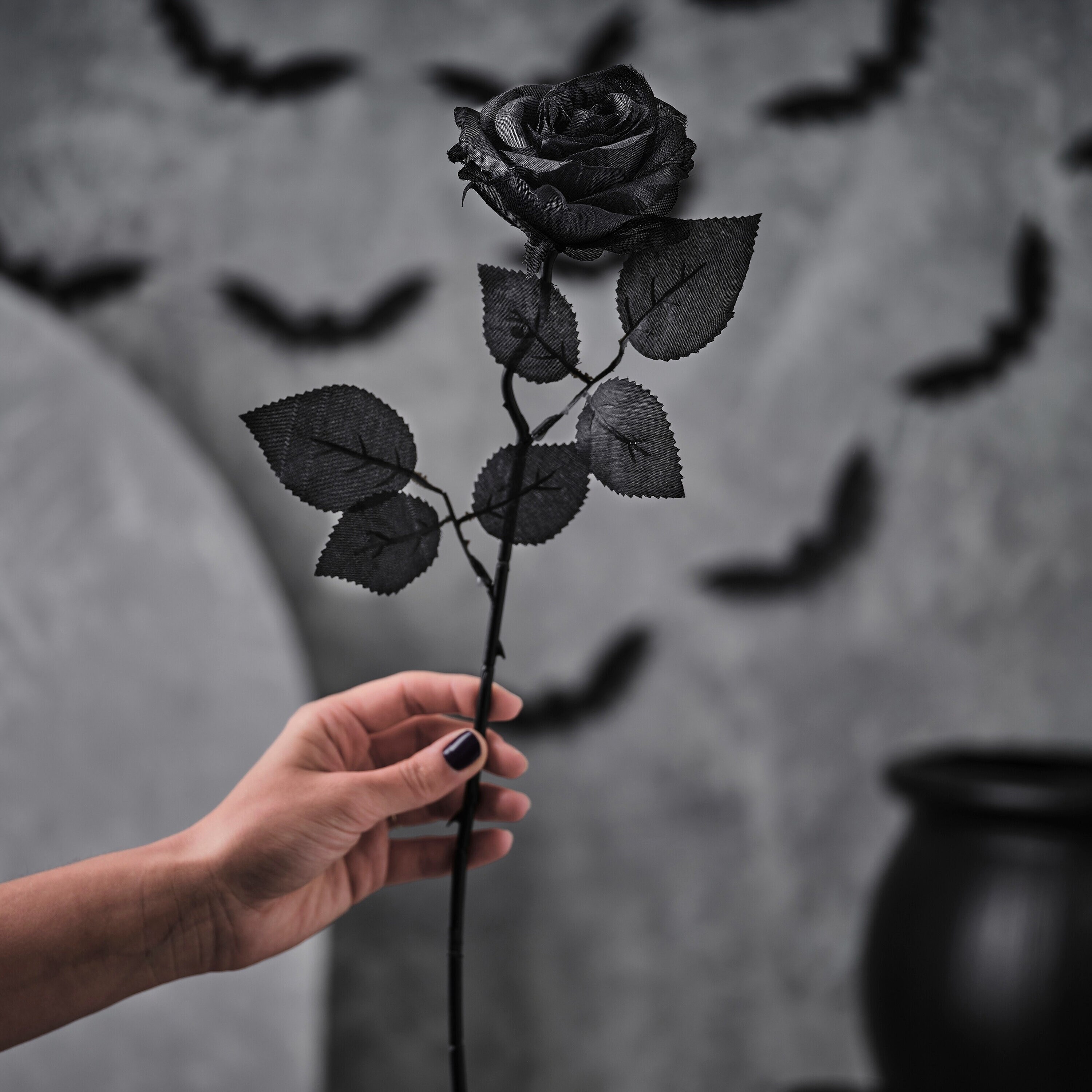 Halloween And Flowers Wallpapers Wallpaper Cave