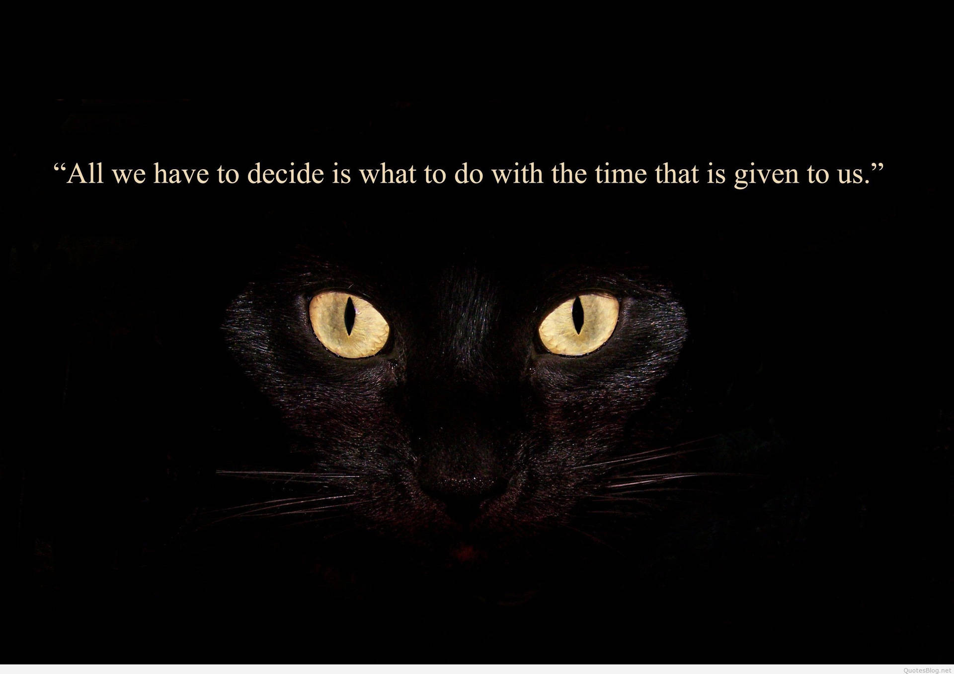 Wise Words Wallpapers Wallpaper Cave