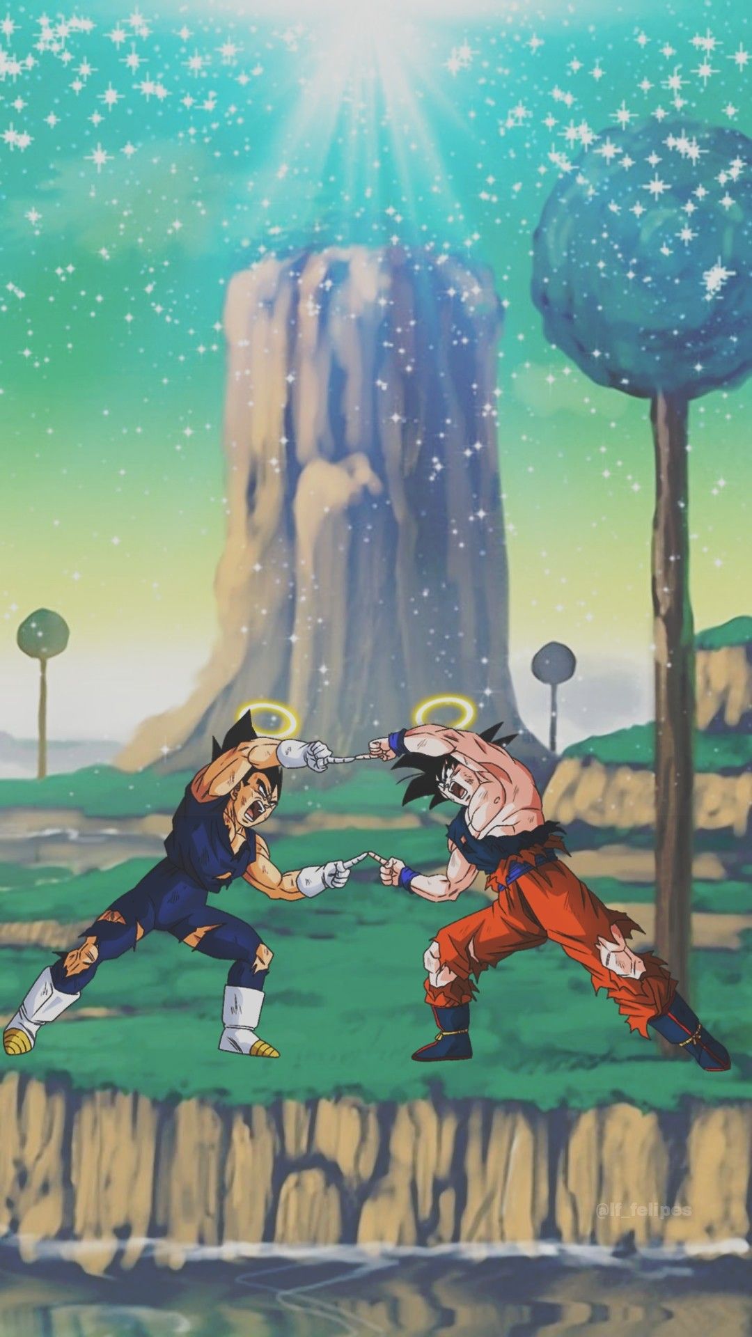 Goku And Vegeta Fusion Pose