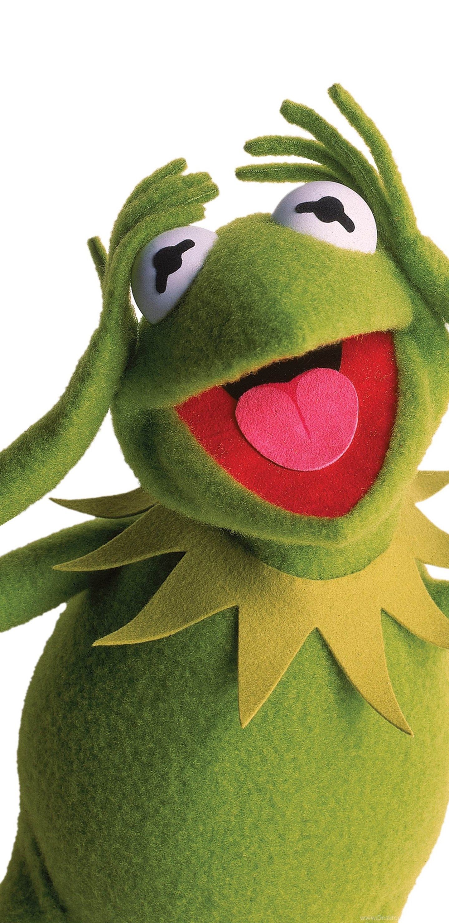 Sesame Street Kermit Wallpapers Wallpaper Cave
