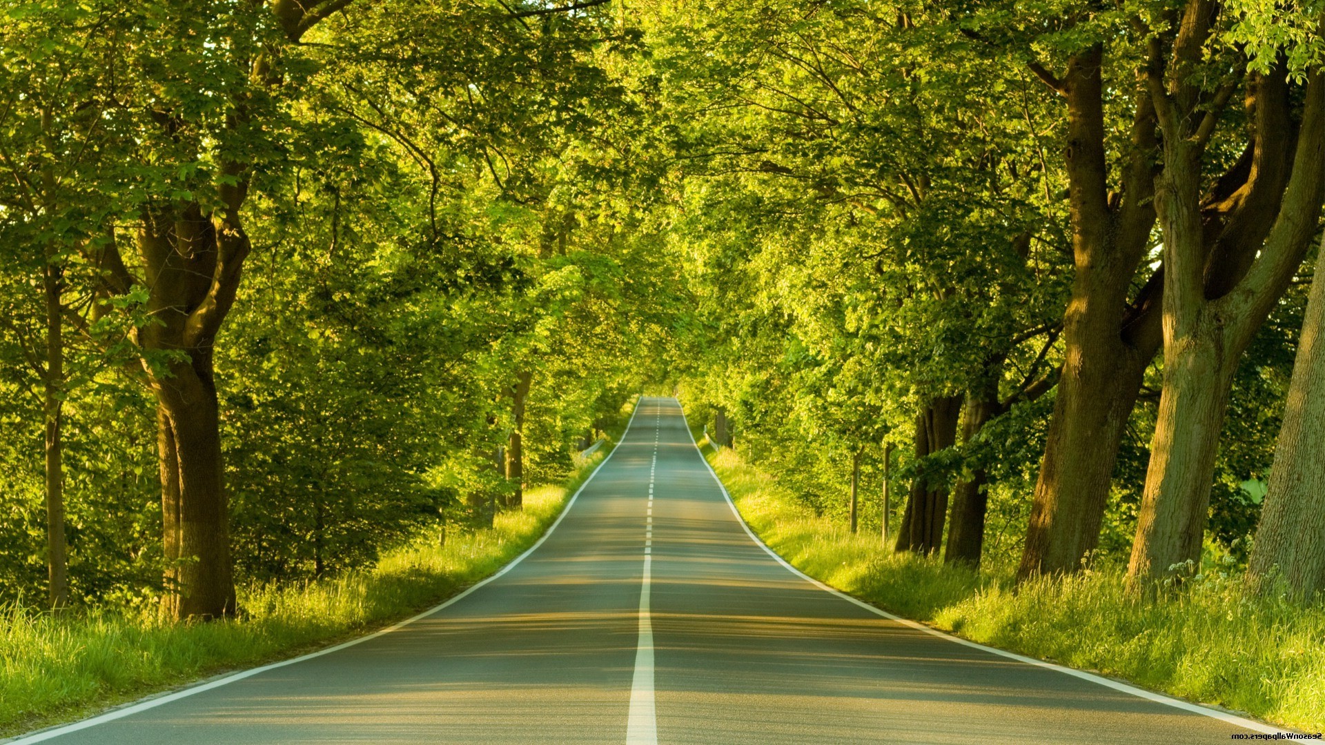 Spring Road Wallpapers Wallpaper Cave