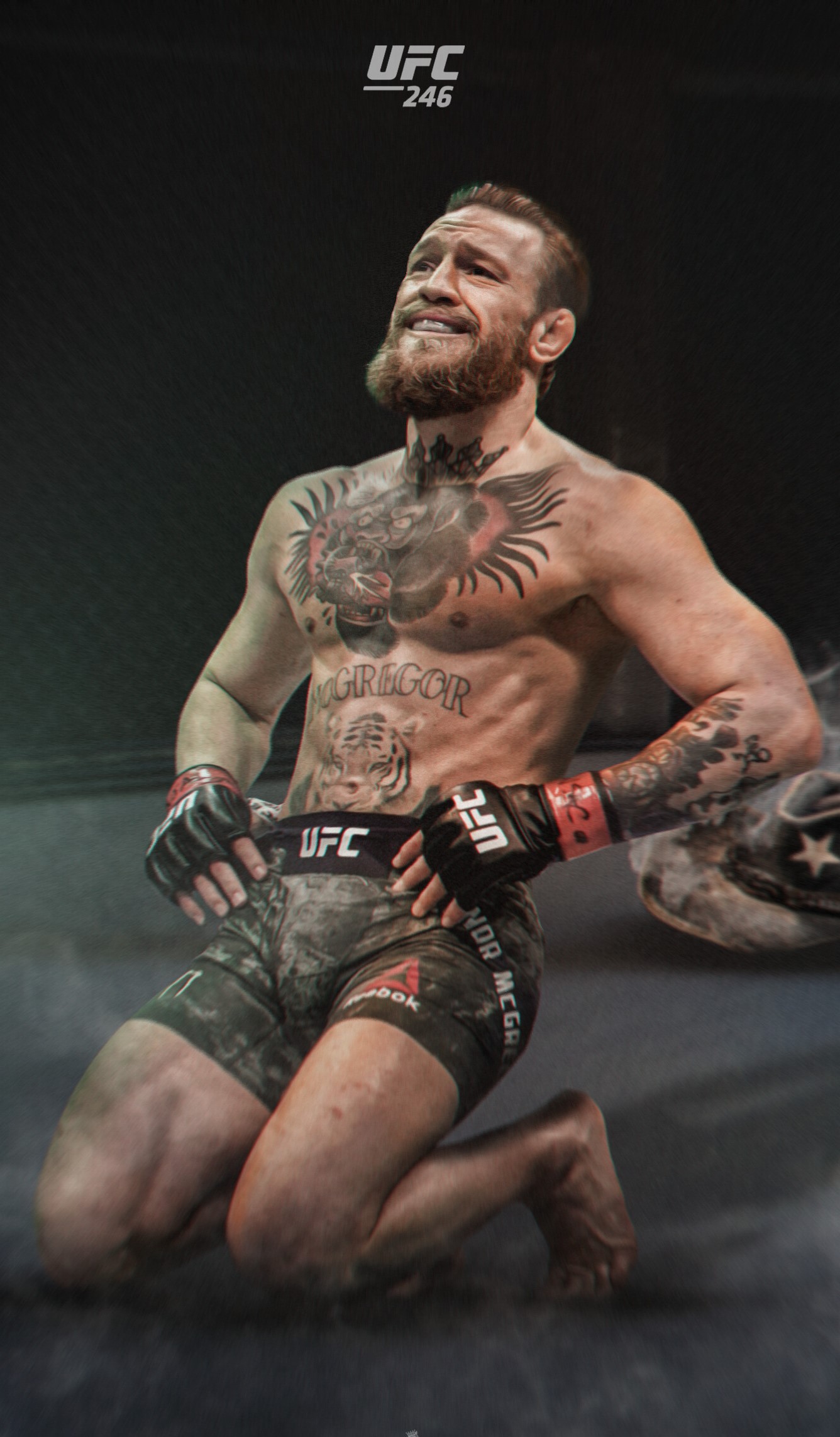 Conor McGregor 2022 Wallpapers Wallpaper Cave