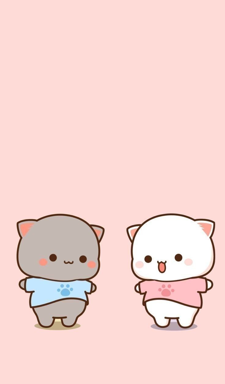Mochi Cats Wallpapers Wallpaper Cave