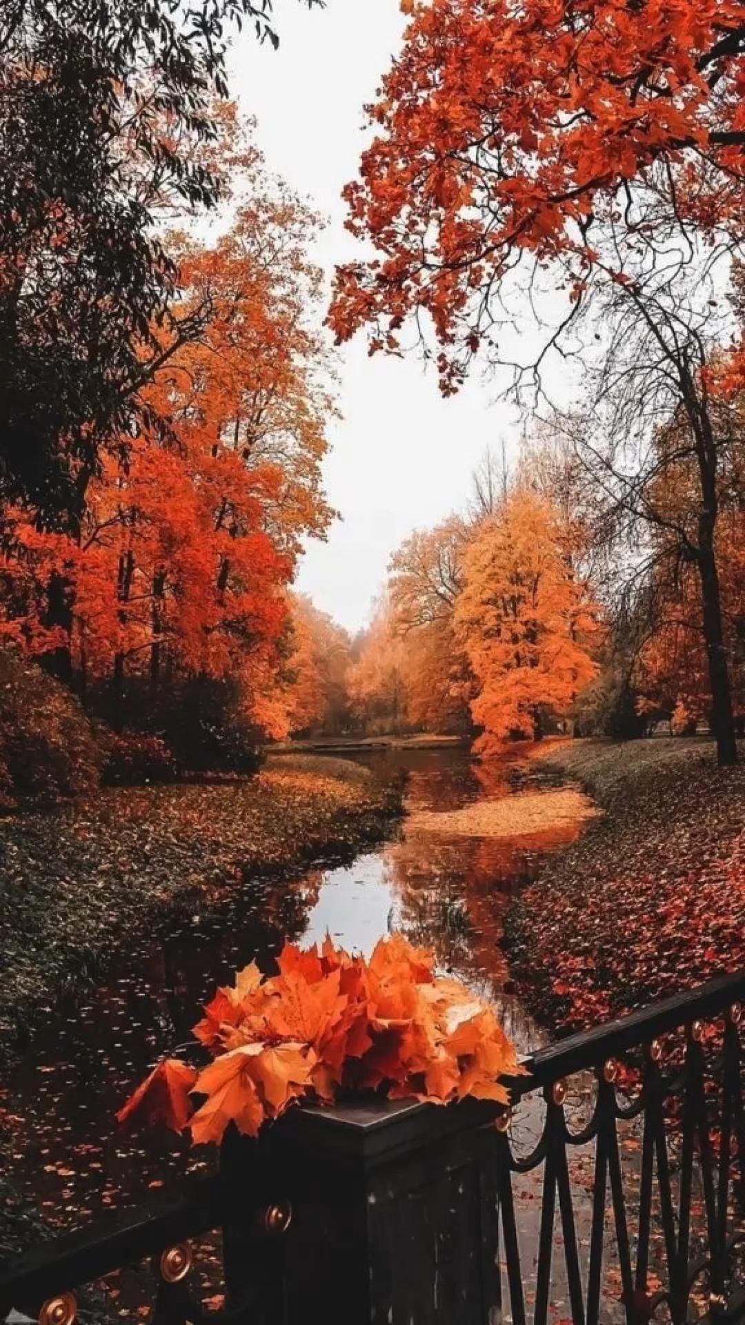 Autumn Widget Wallpapers Wallpaper Cave